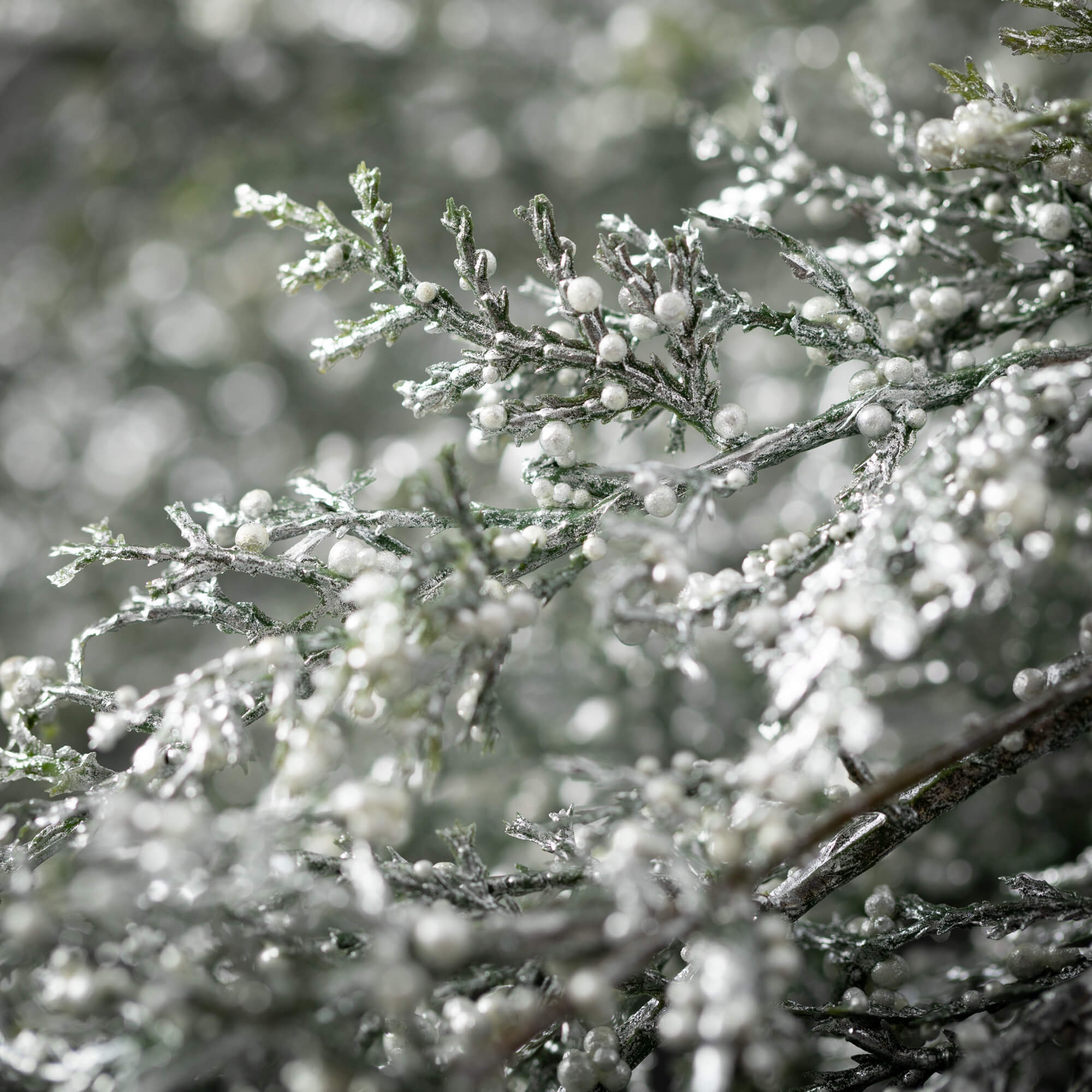 Wholesale Cedar Spray Pine Green Sprays Sullivans