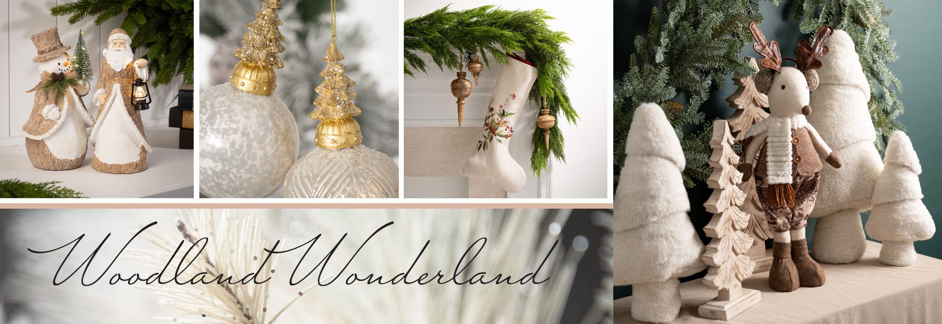 Woodland Wonderland