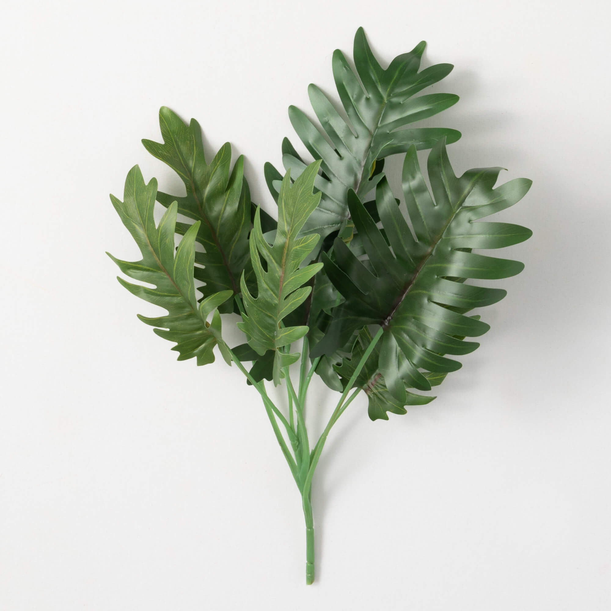 NO-FUSS PHILODENDRON LEAF BUSH