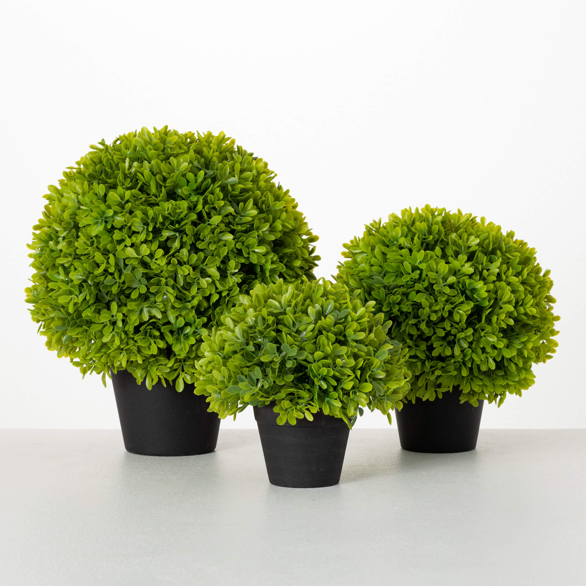 POTTED GREEN BOXWOOD SET