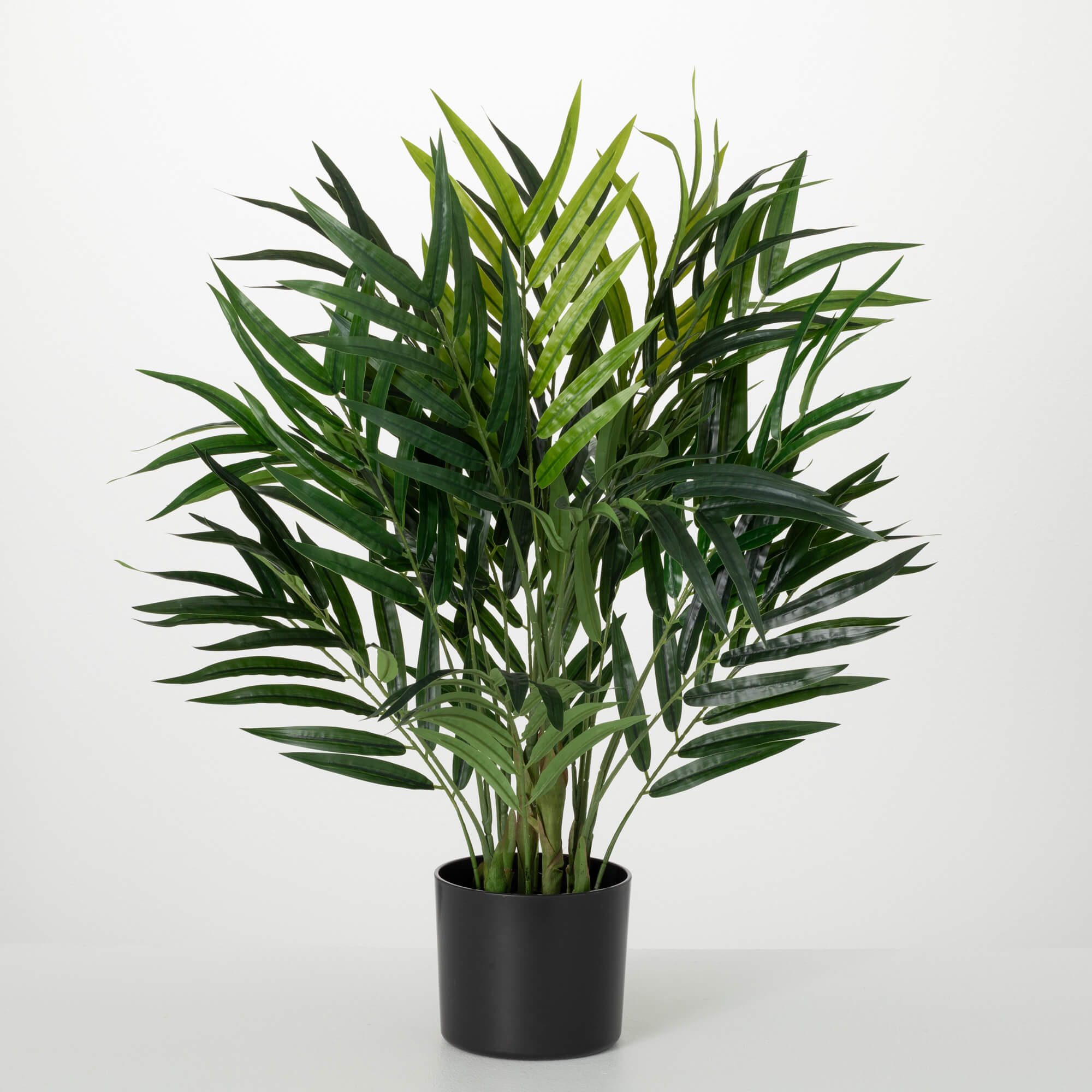 POTTED BAMBOO PALM TREE