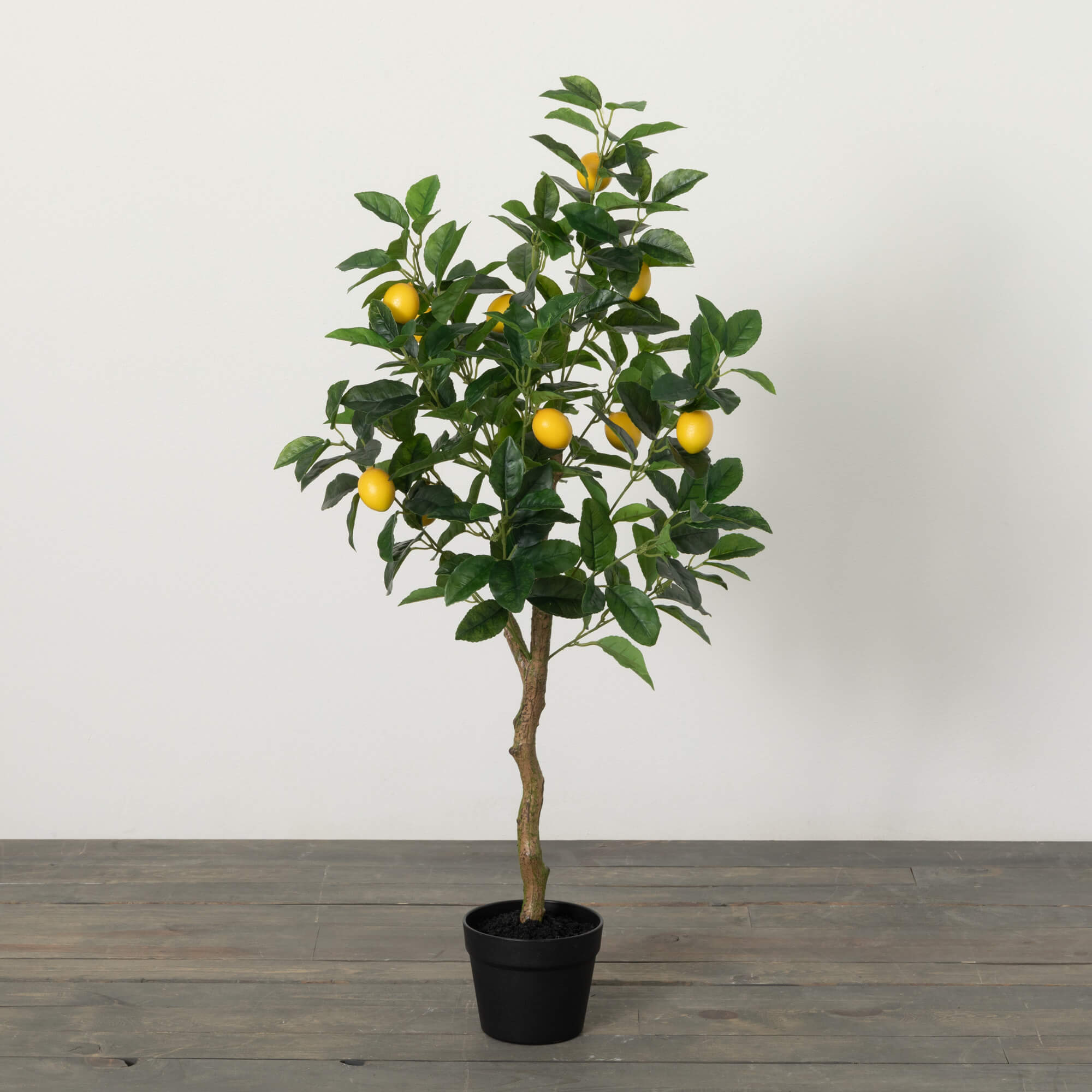 LEMON TREE