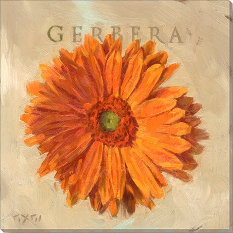 ORANGE GERBERA GICLEE WALL ART