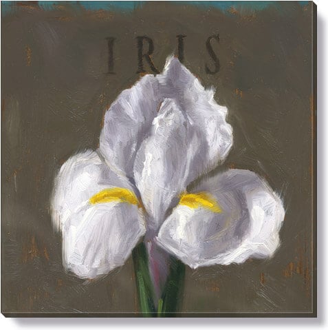 IRIS GICLEE WALL ART