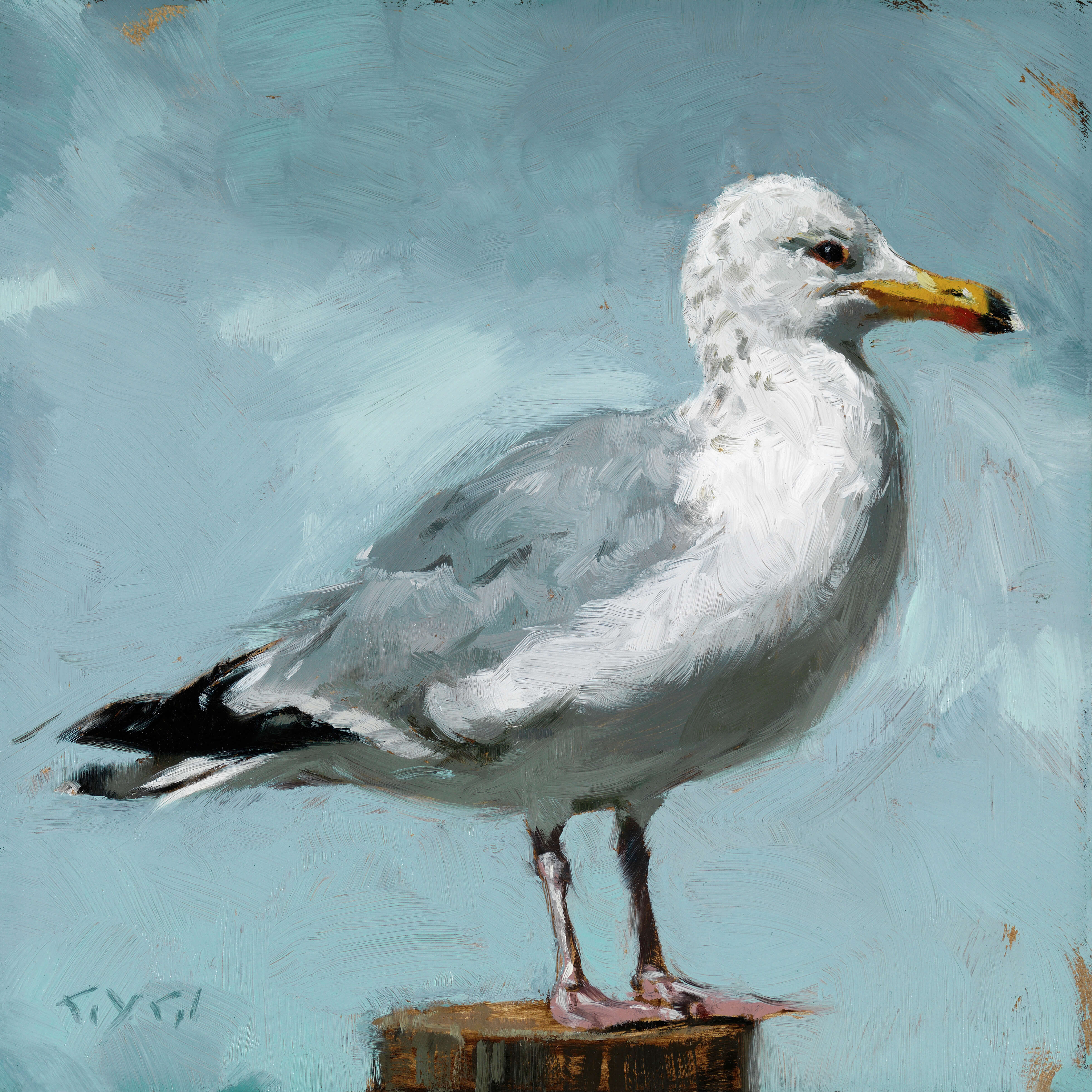 SEAGULL GICLEE ARTWORK