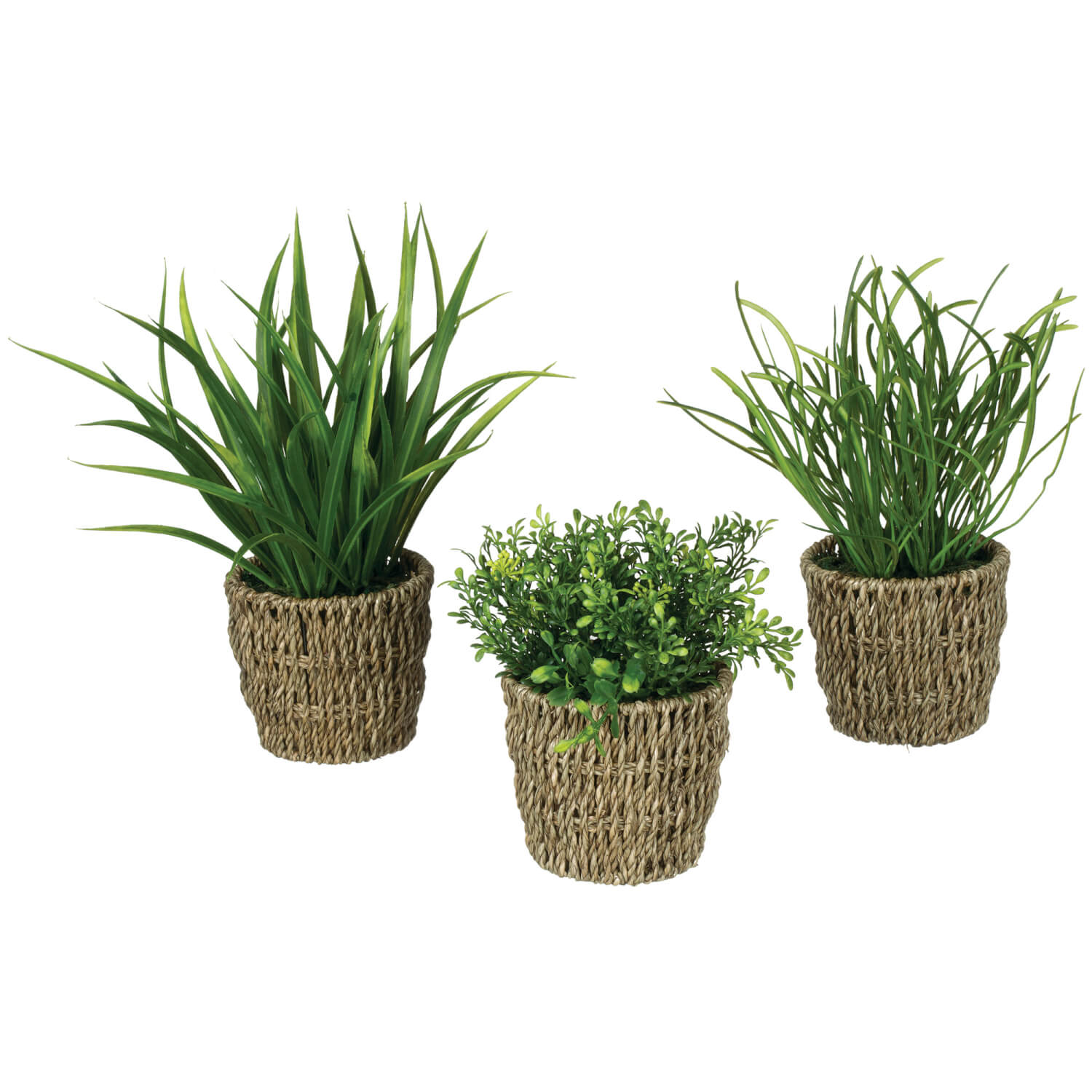 WOVEN FOLIAGE PLANT PREMADES