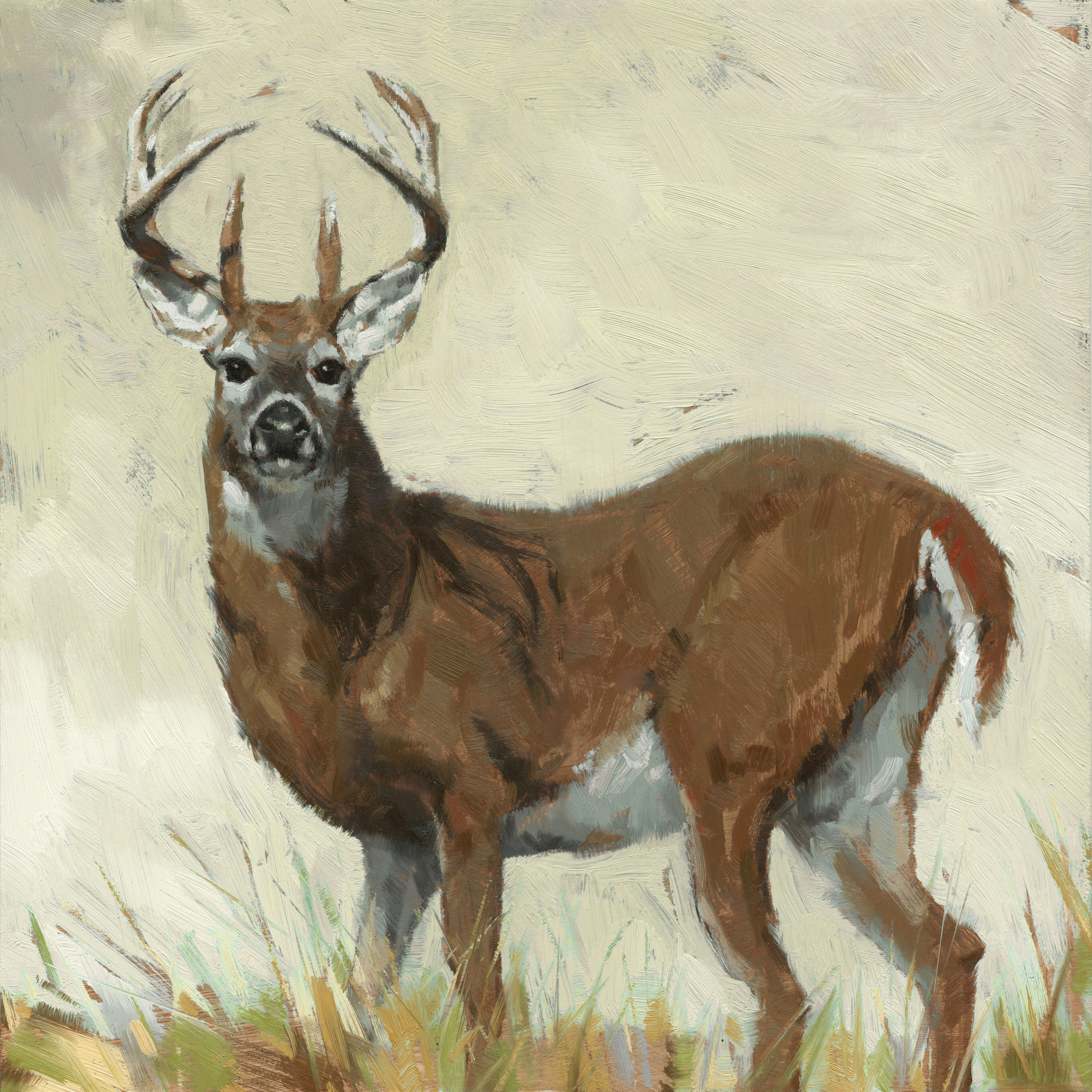 WHITE-TAILED DEER ARTWORK