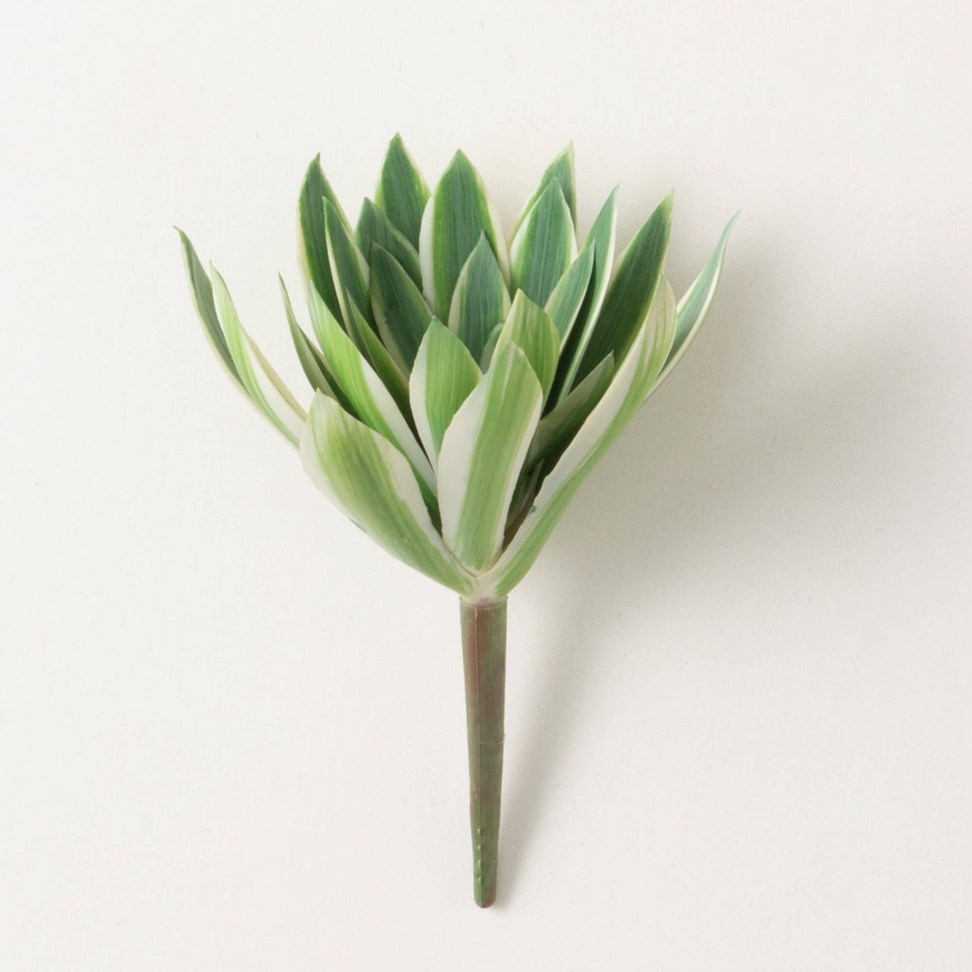 Add a fresh pop of greenery to any space with this