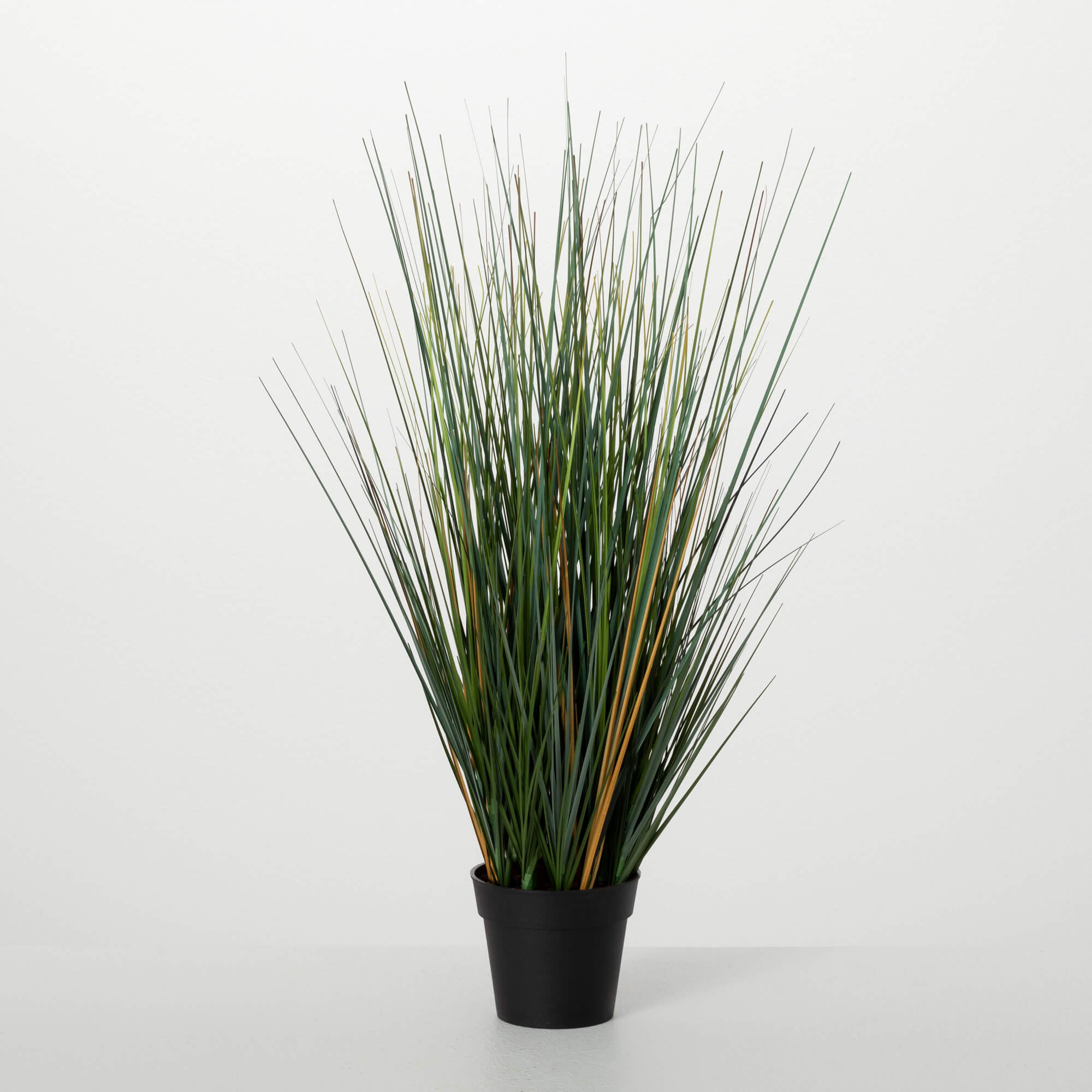 POTTED GRASS