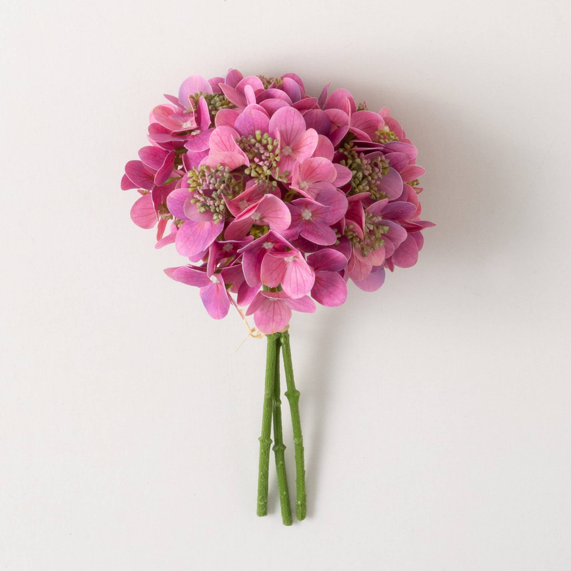 HOT PINK HYDRANGEA BUSH