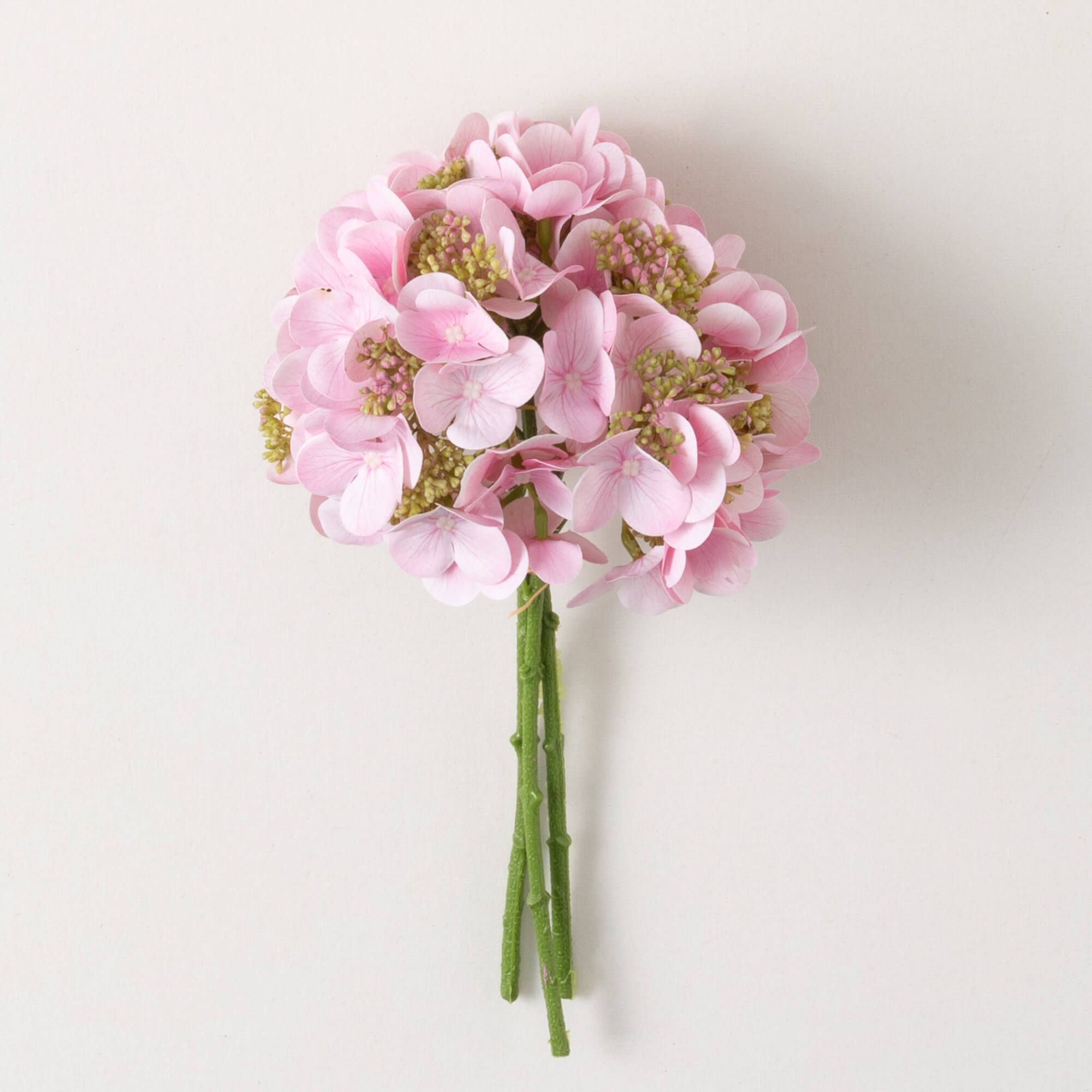 PINK HYDRANGEA BUSH