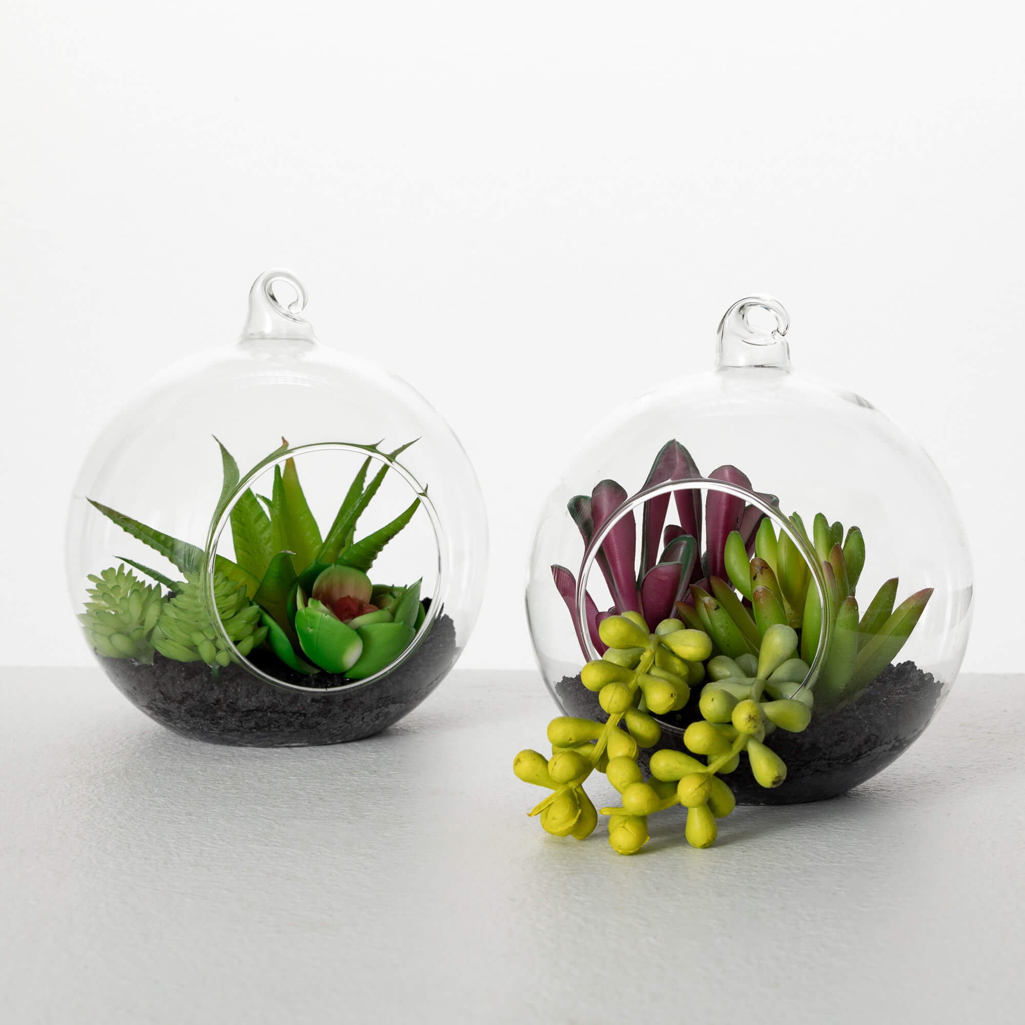 SUCCULENTS IN GLASS Set 2