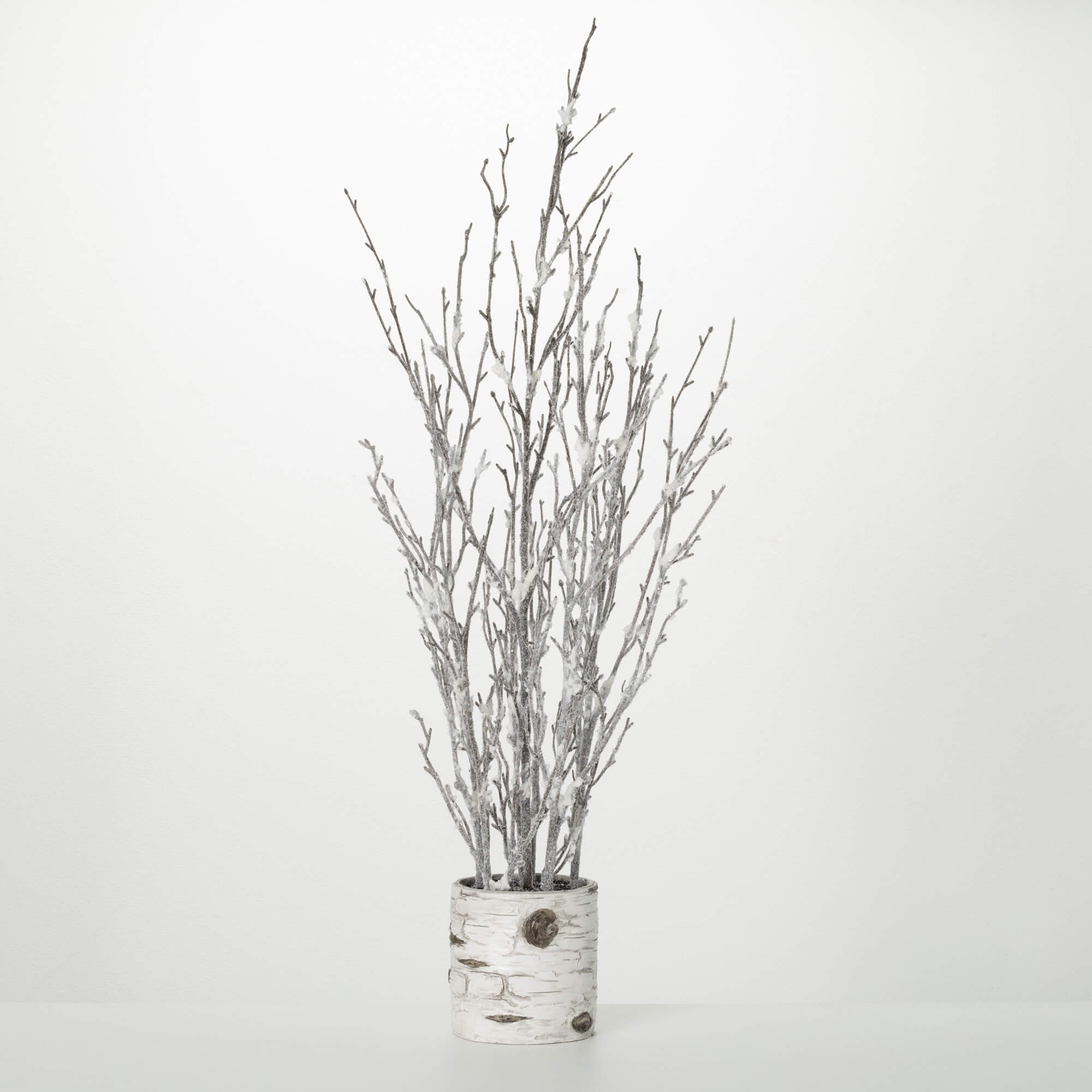 POTTED BIRCH BRANCHES