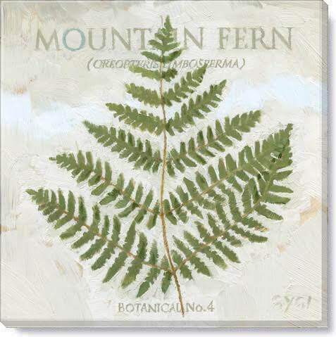 MOUNTAIN FERN GICLEE WALL ART