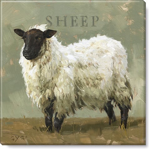 PASTURE SHEEP GICLEE WALL ART