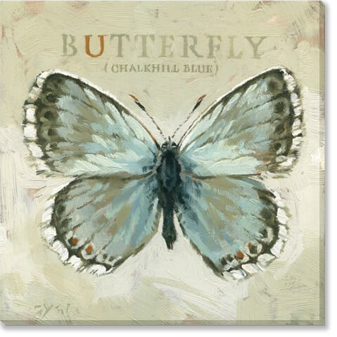 CHALKHILL BLUE BUTTERFLY ART