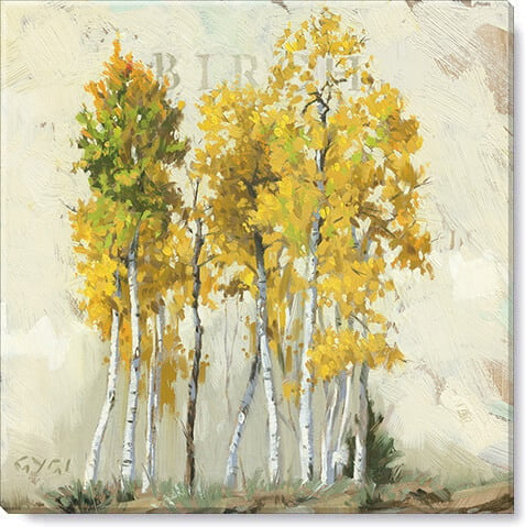 BIRCH TREE GICLEE