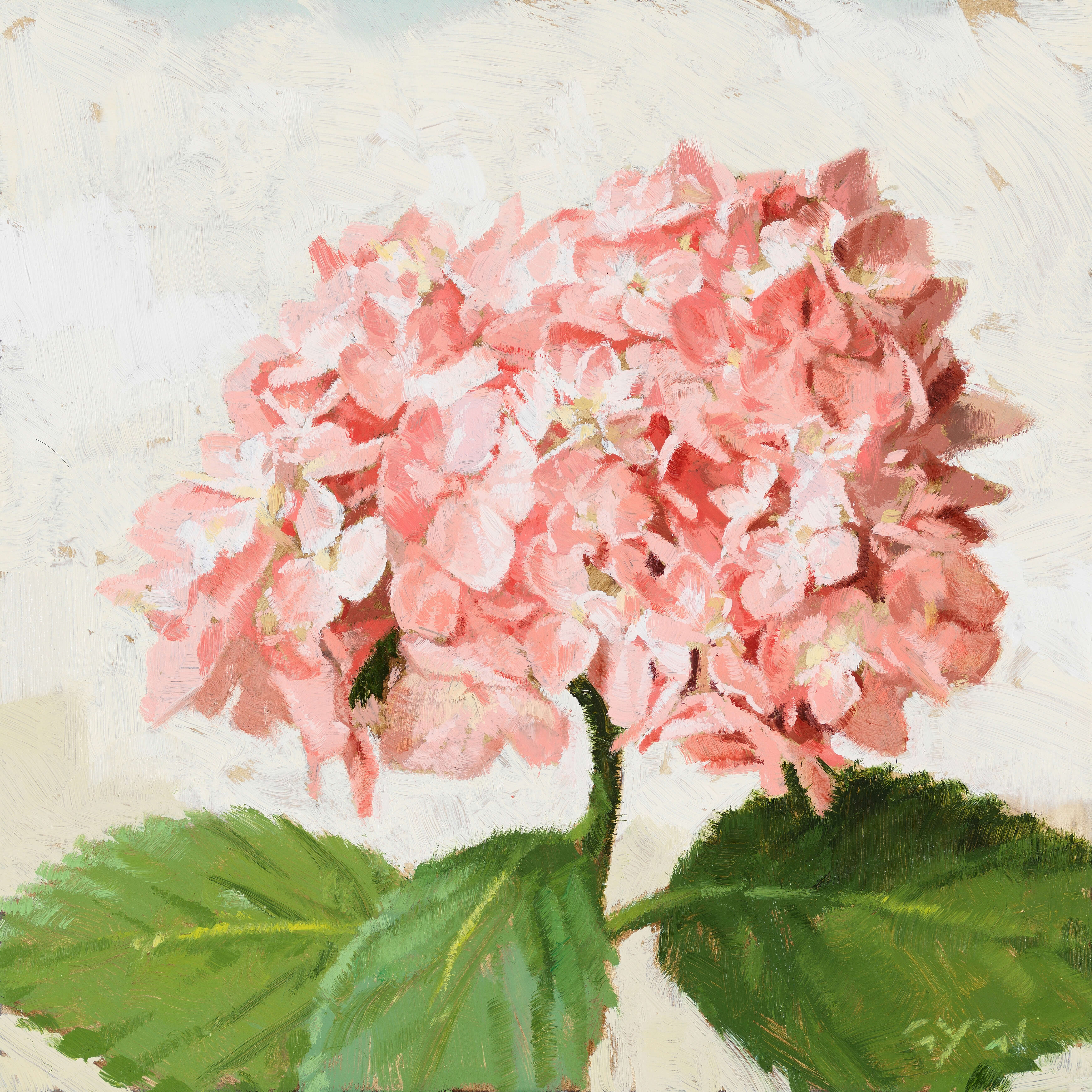 PINK HYDRANGEA GICLEE ARTWORK