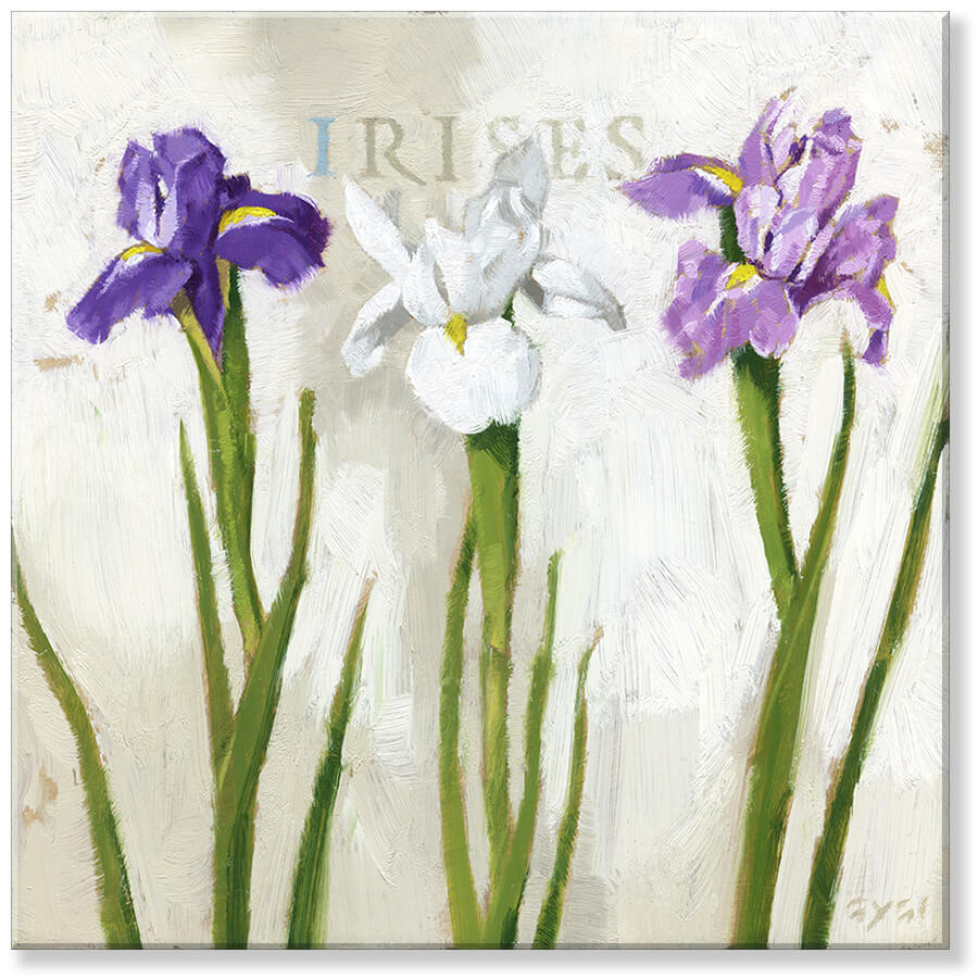 IRIS TRIO GICLEE WALL ART