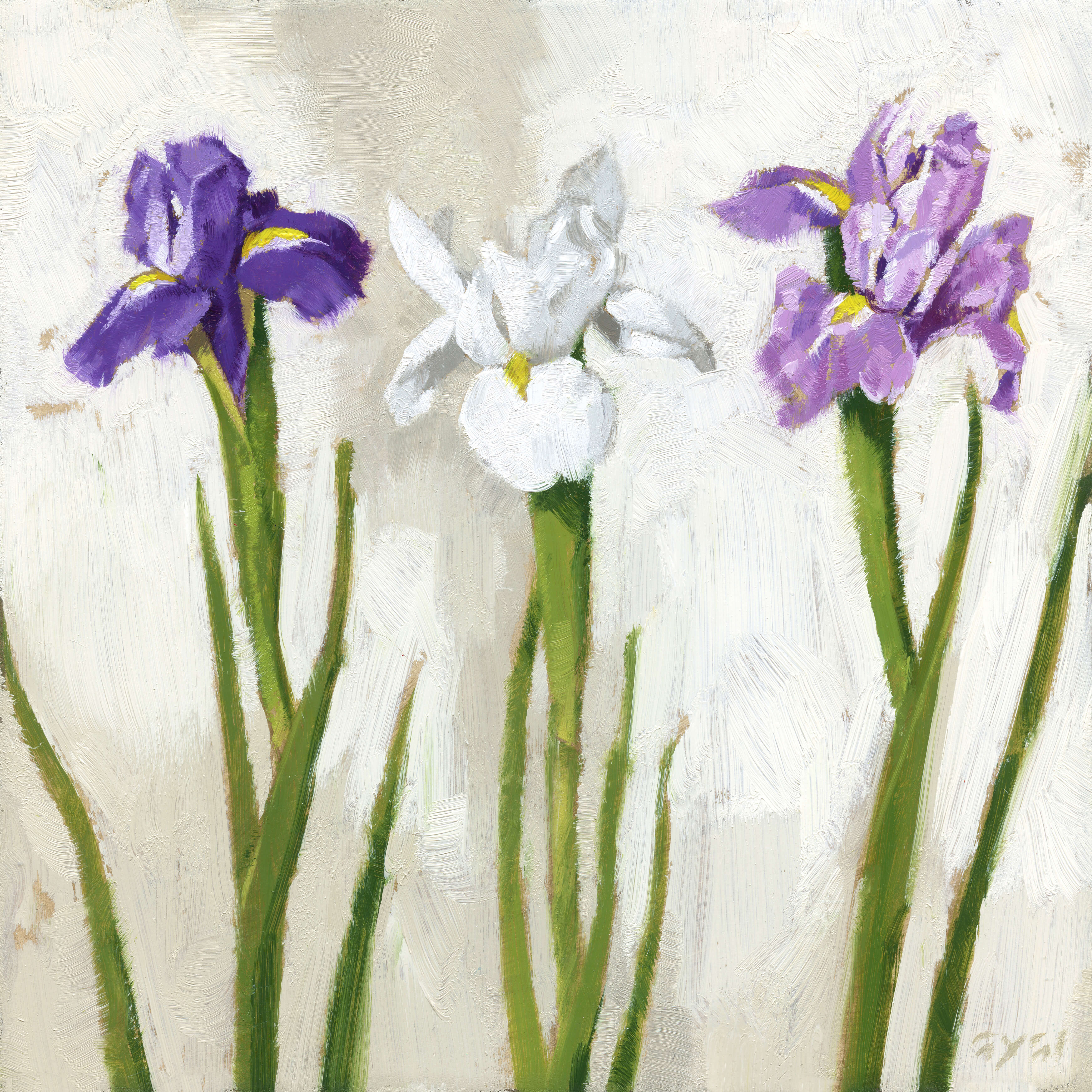 IRIS TRIO GICLEE ARTWORK