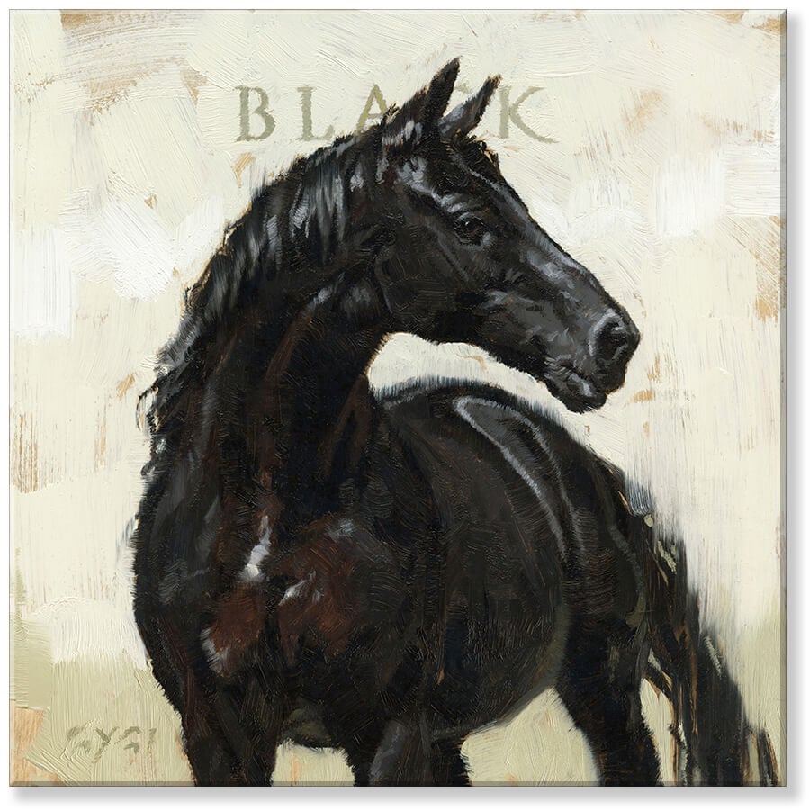 BLACK HORSE GICLEE WALL ART