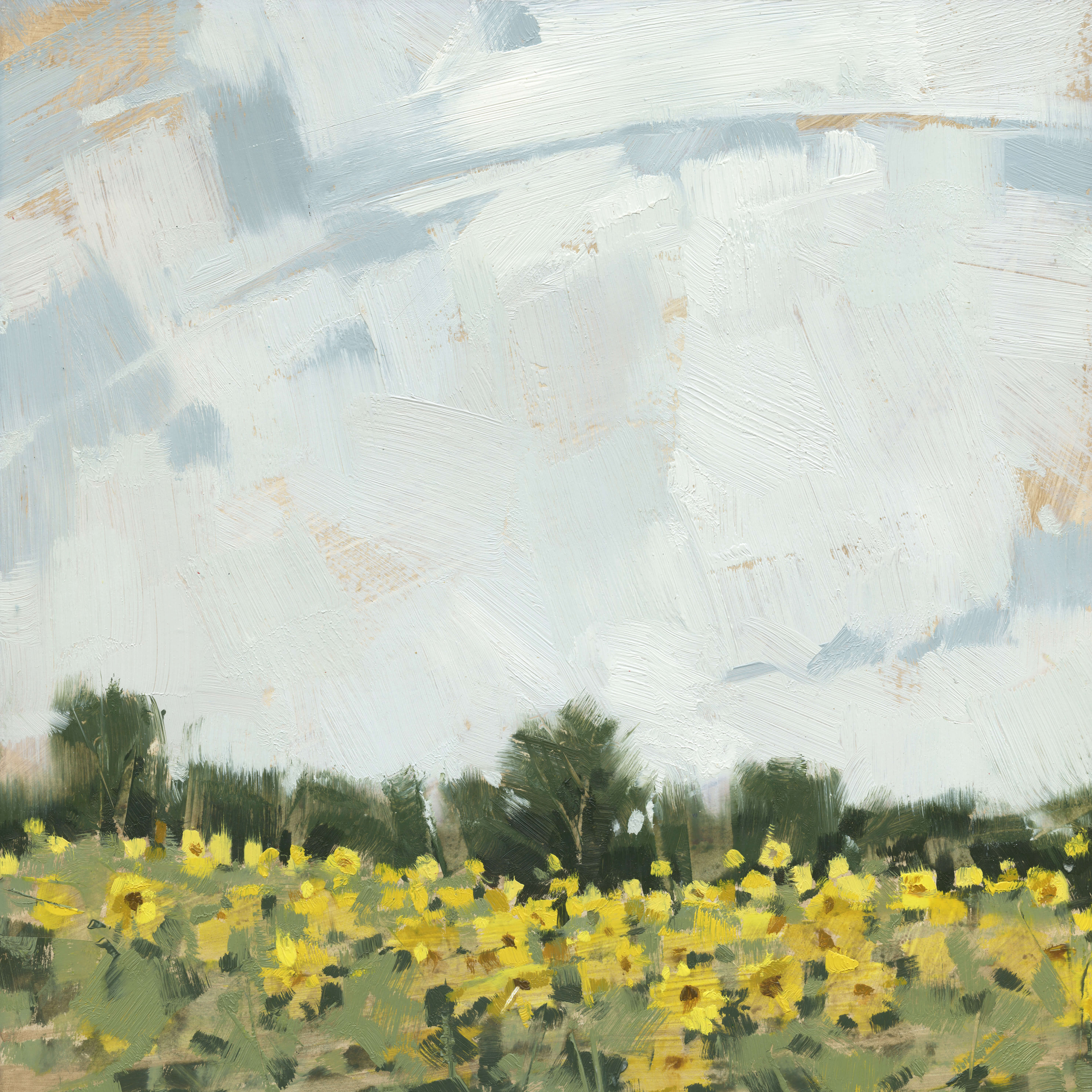 SUNFLOWER FIELD ARTWORK