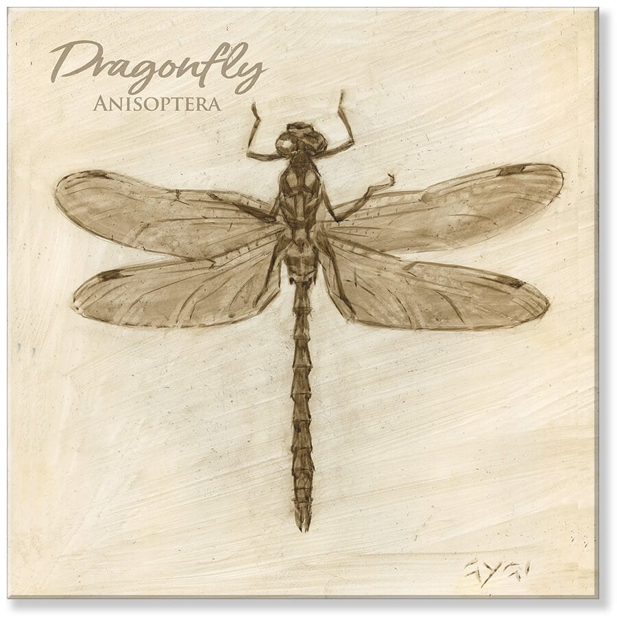 SEPIA DRAGONFLY CANVAS ART