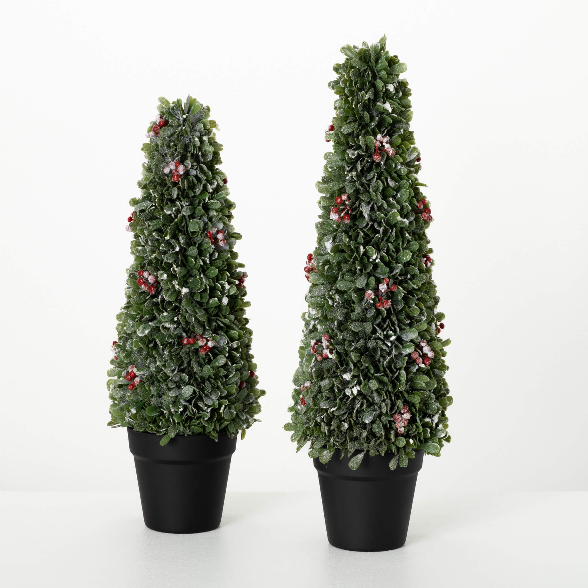 BOXWOOD BERRY TREE SET 2