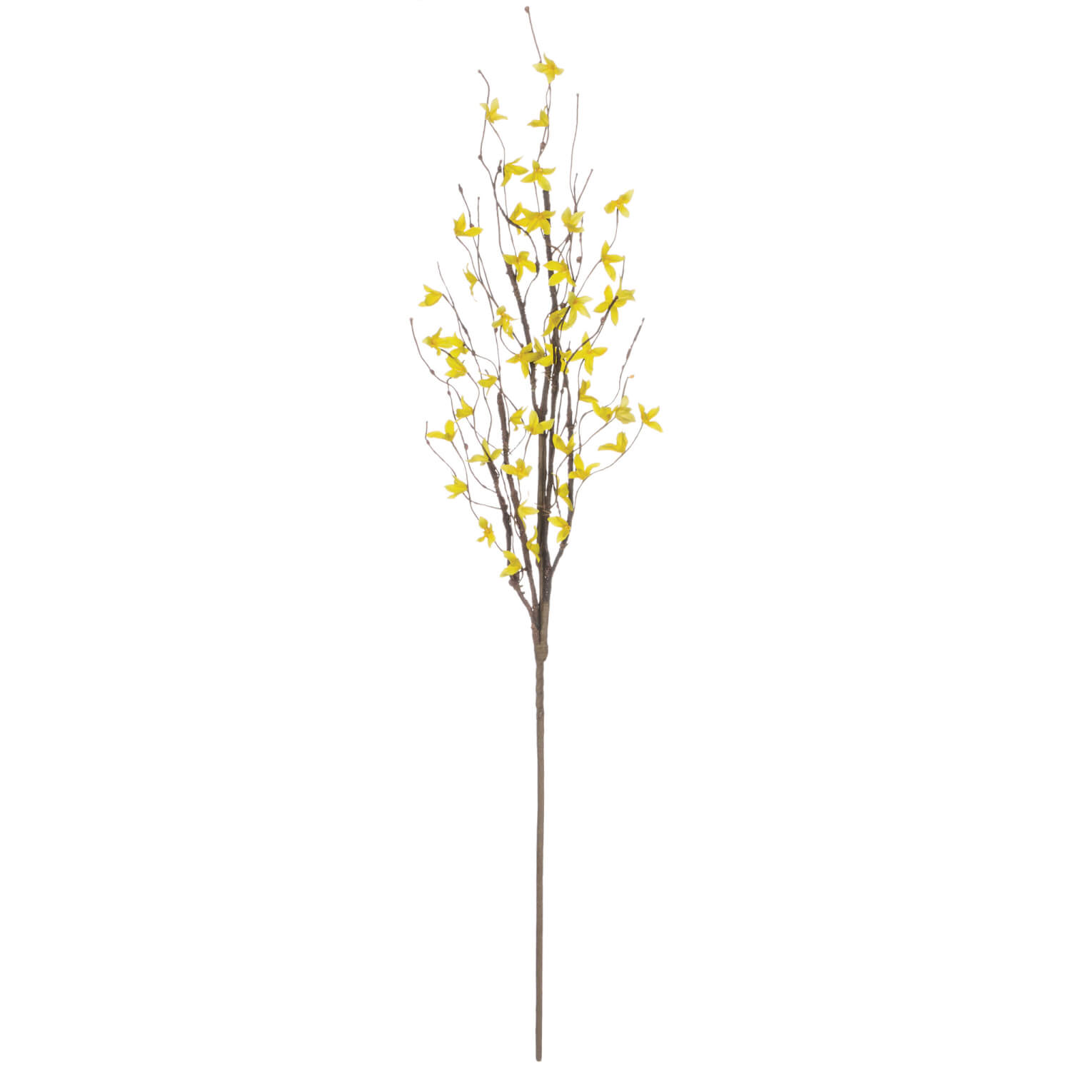 FORSYTHIA SPRAY