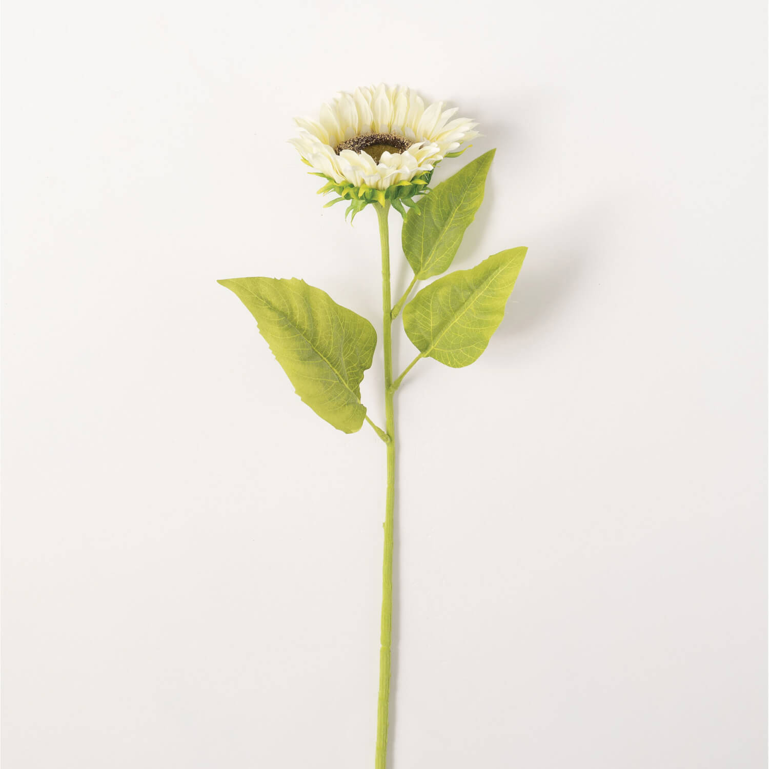 ALABASTER SUNFLOWER STEM