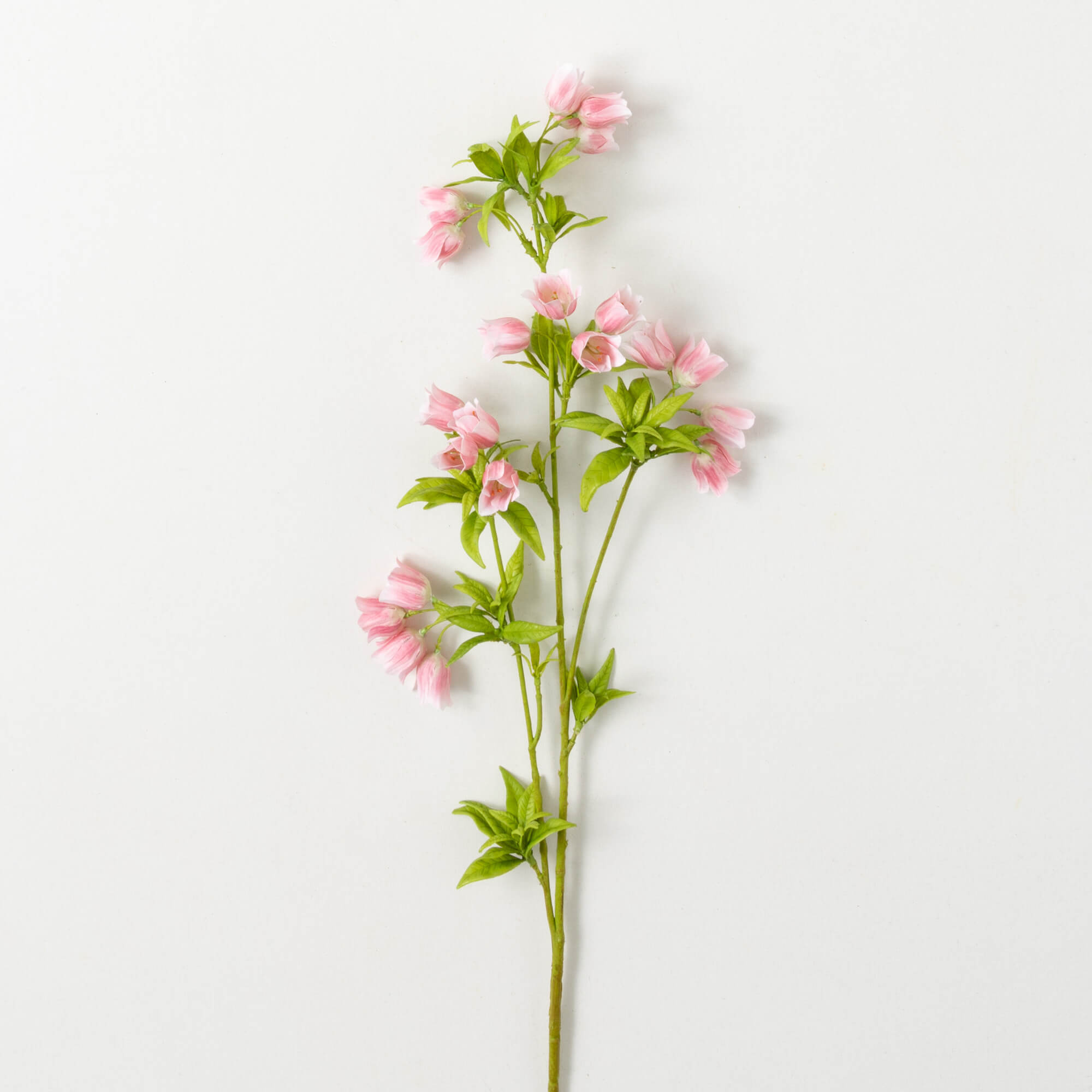 SWEET PINK ENKIANTHUS SPRAY