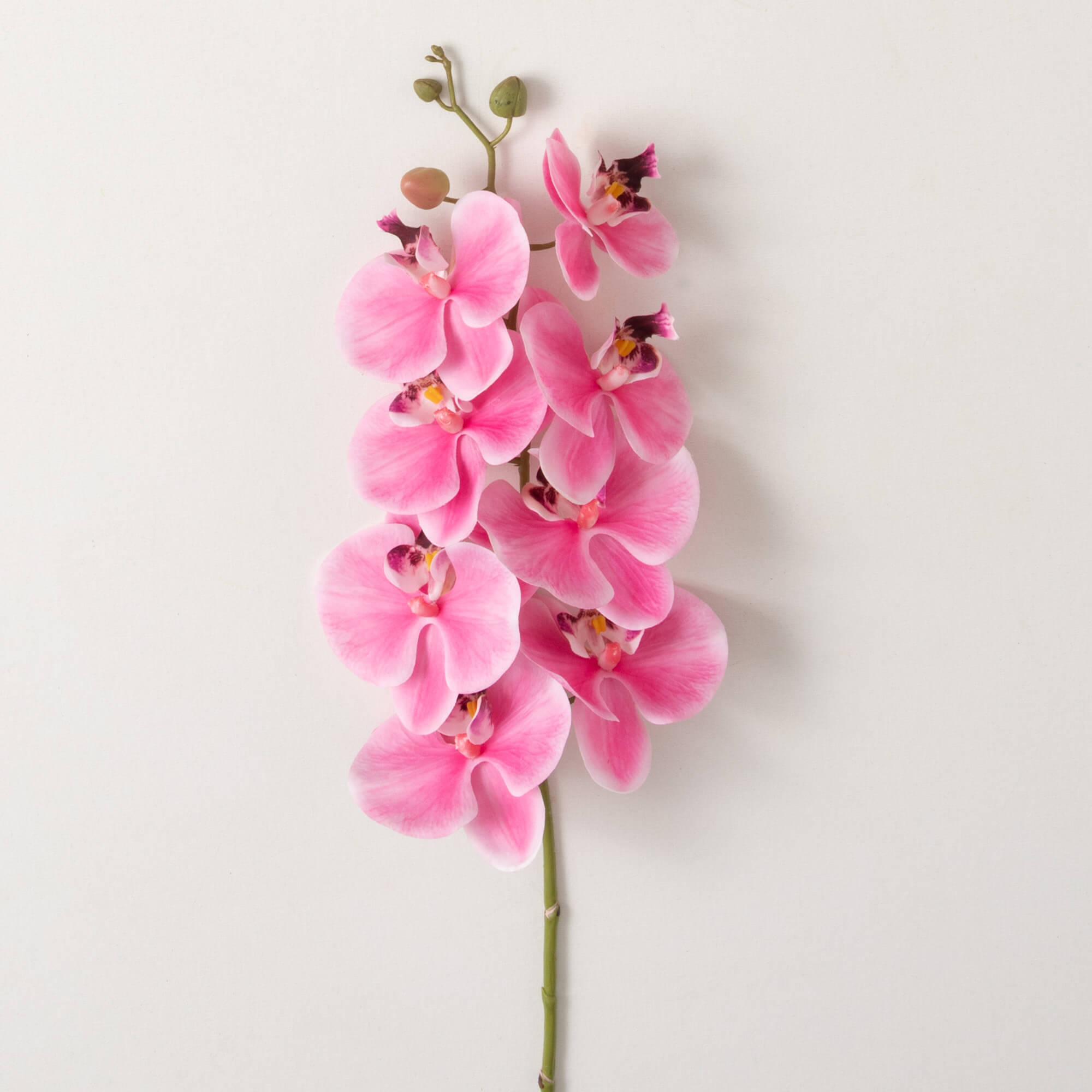 PINK PHALAENOPSIS SPRAY