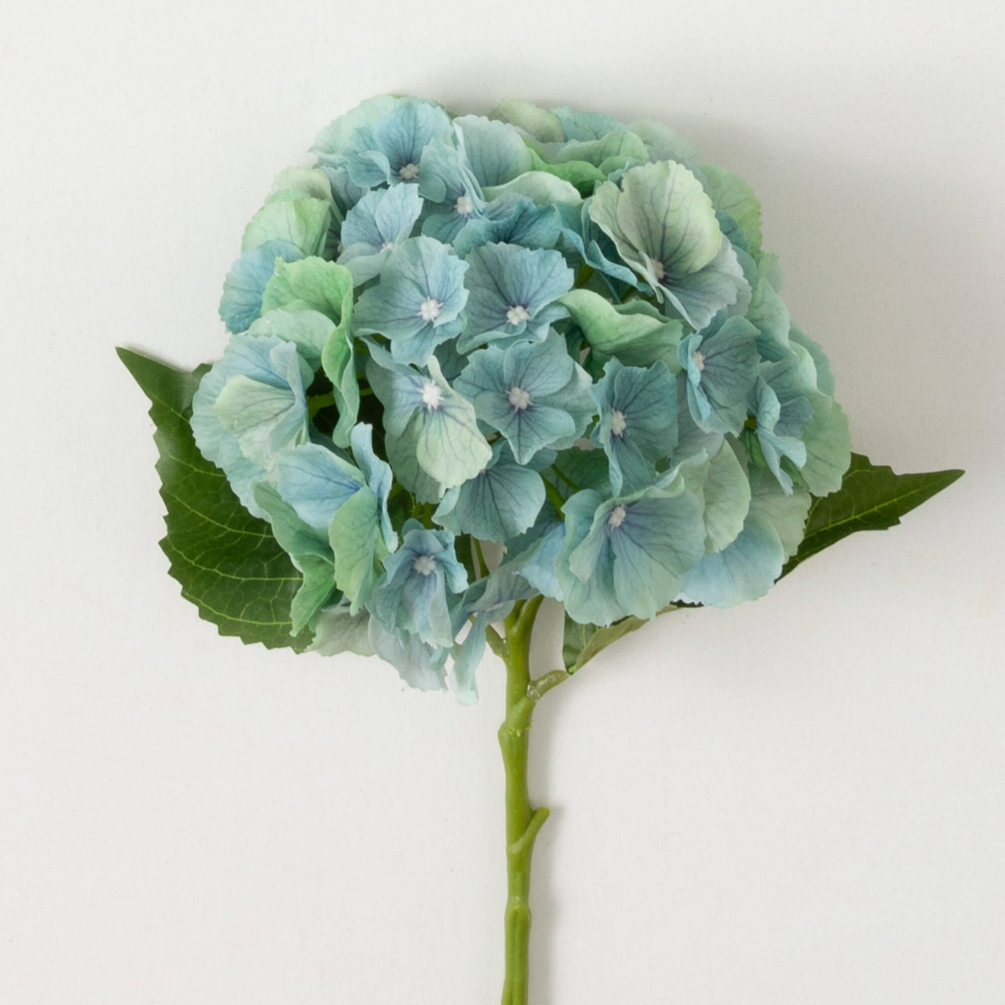 LIGHT BLUE HYDRANGEA  STEM