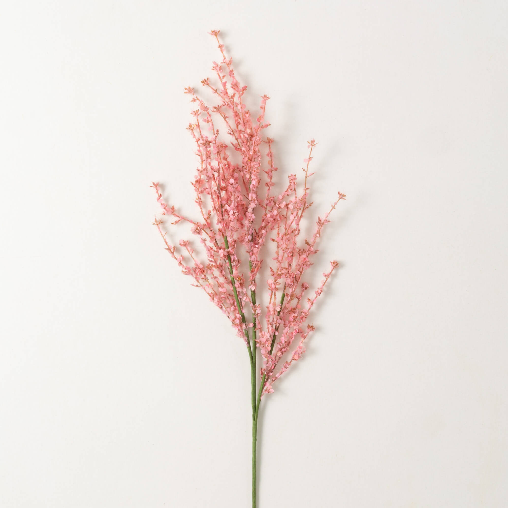 BLOSSOM GRASS SPRAY