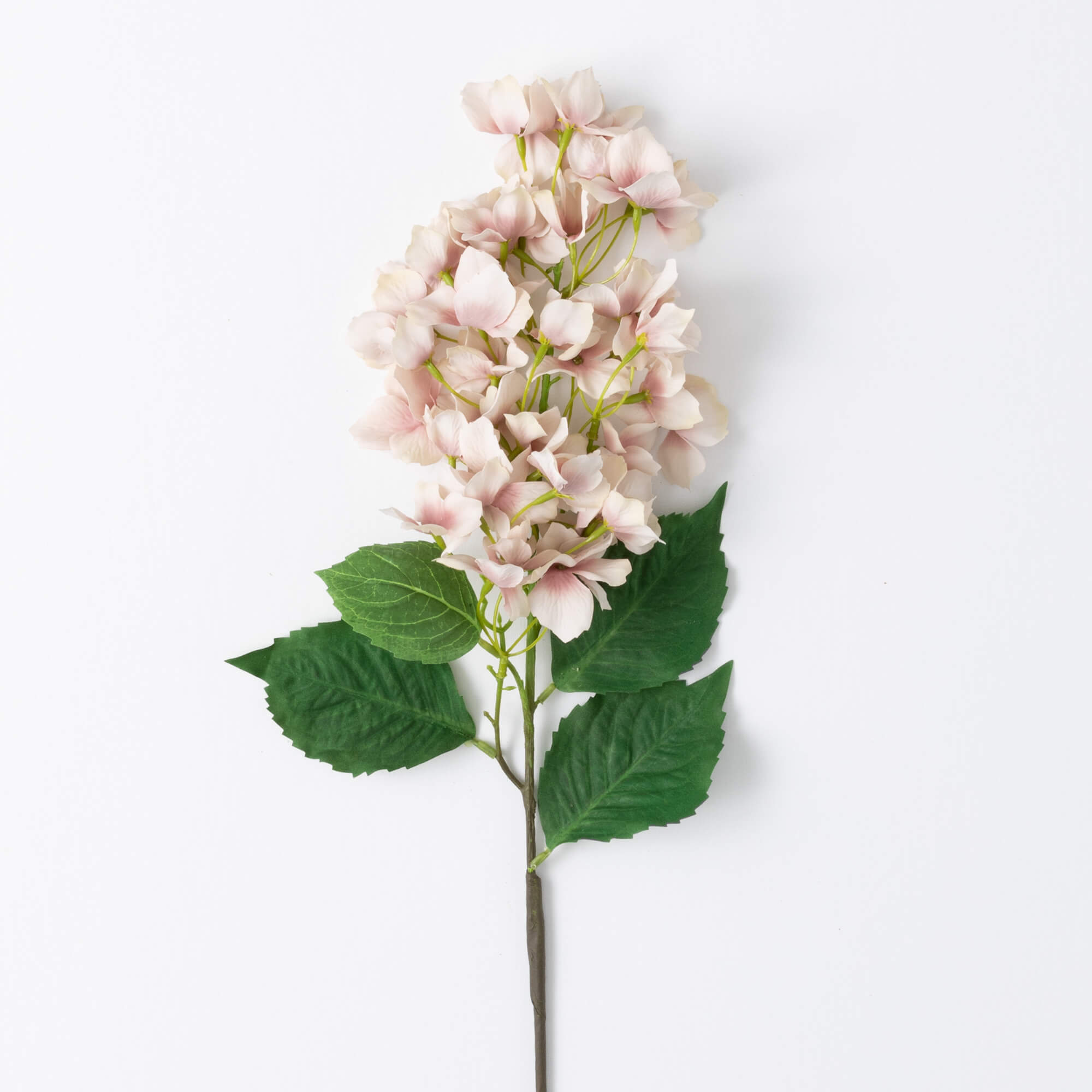 LIGHT PINK HYDRANGEA STEM