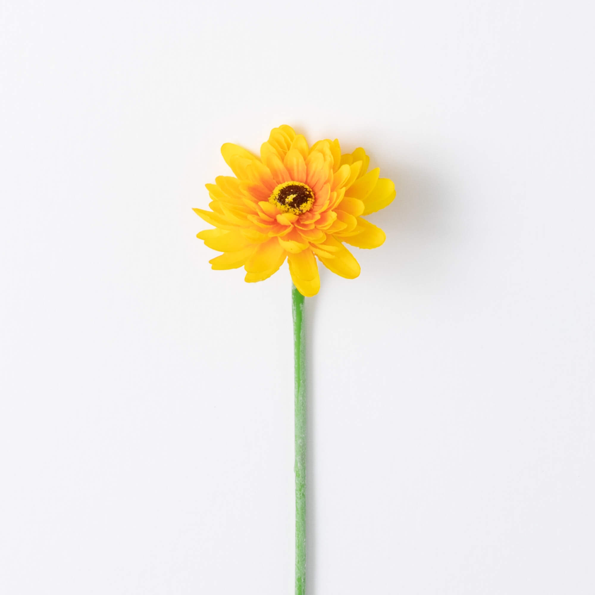 YELLOW GERBER DAISY STEM