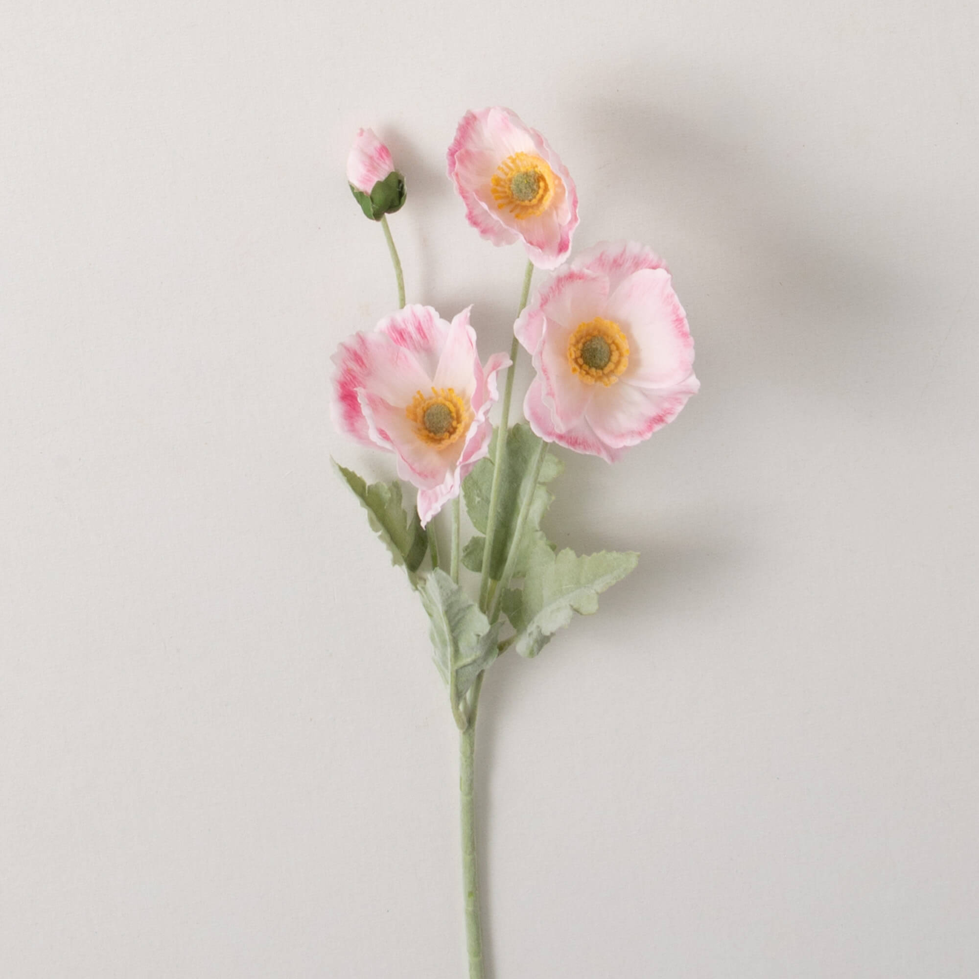 LONG PALE PINK POPPY STEM