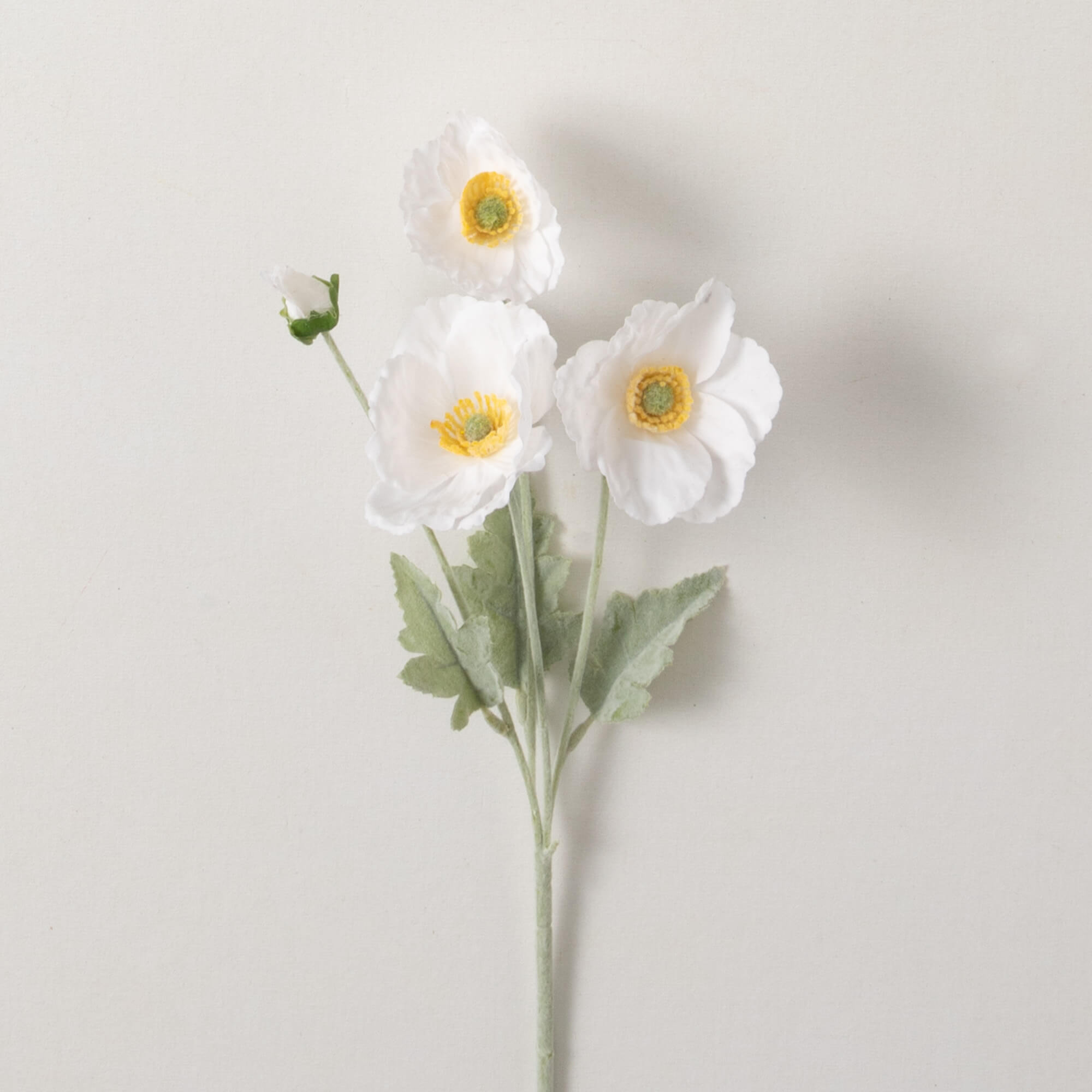 LONG IVORY POPPY STEM