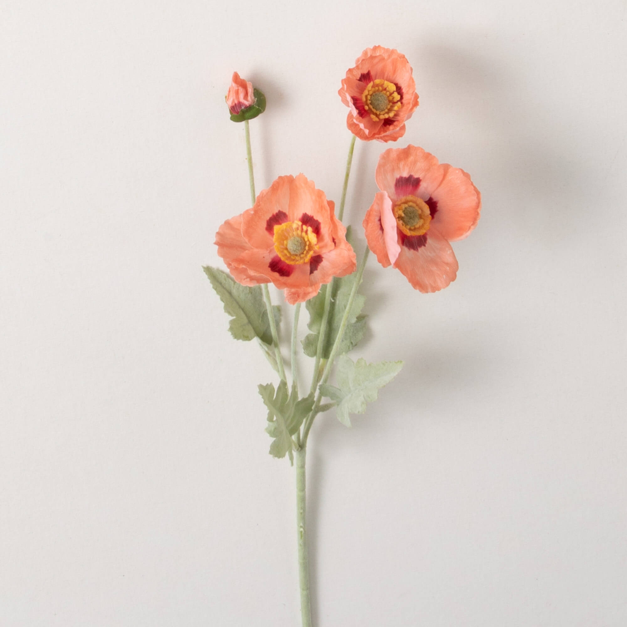 LONG PEACH POPPY STEM