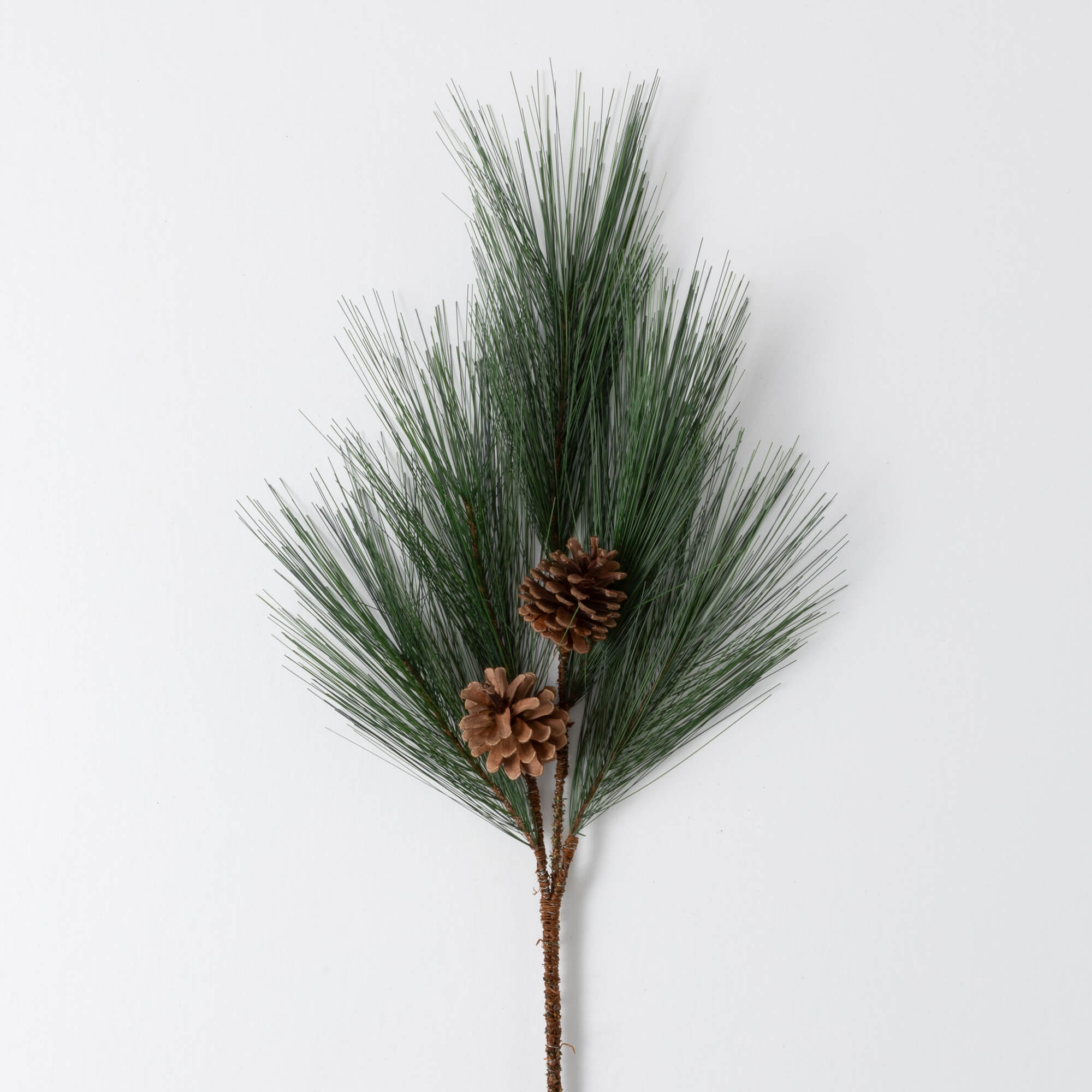 LONG PINE SPRAY