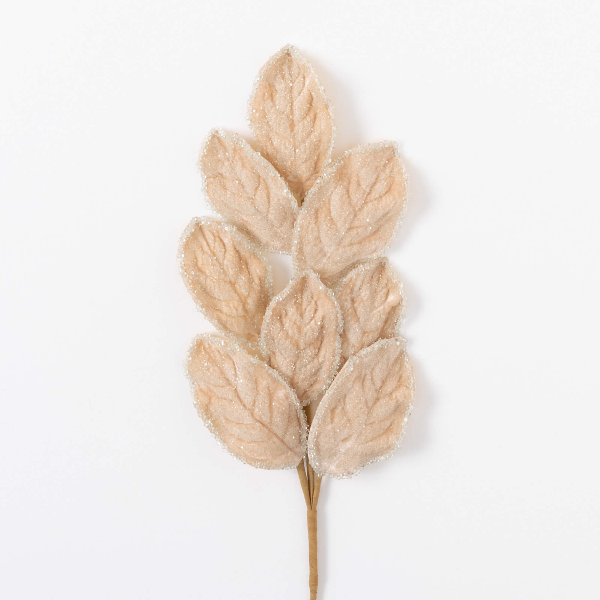 MAGNOLIA LEAF SPRAY