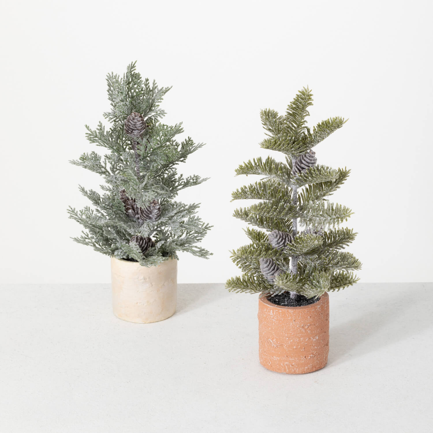 POTTED PINE TREE SET 2