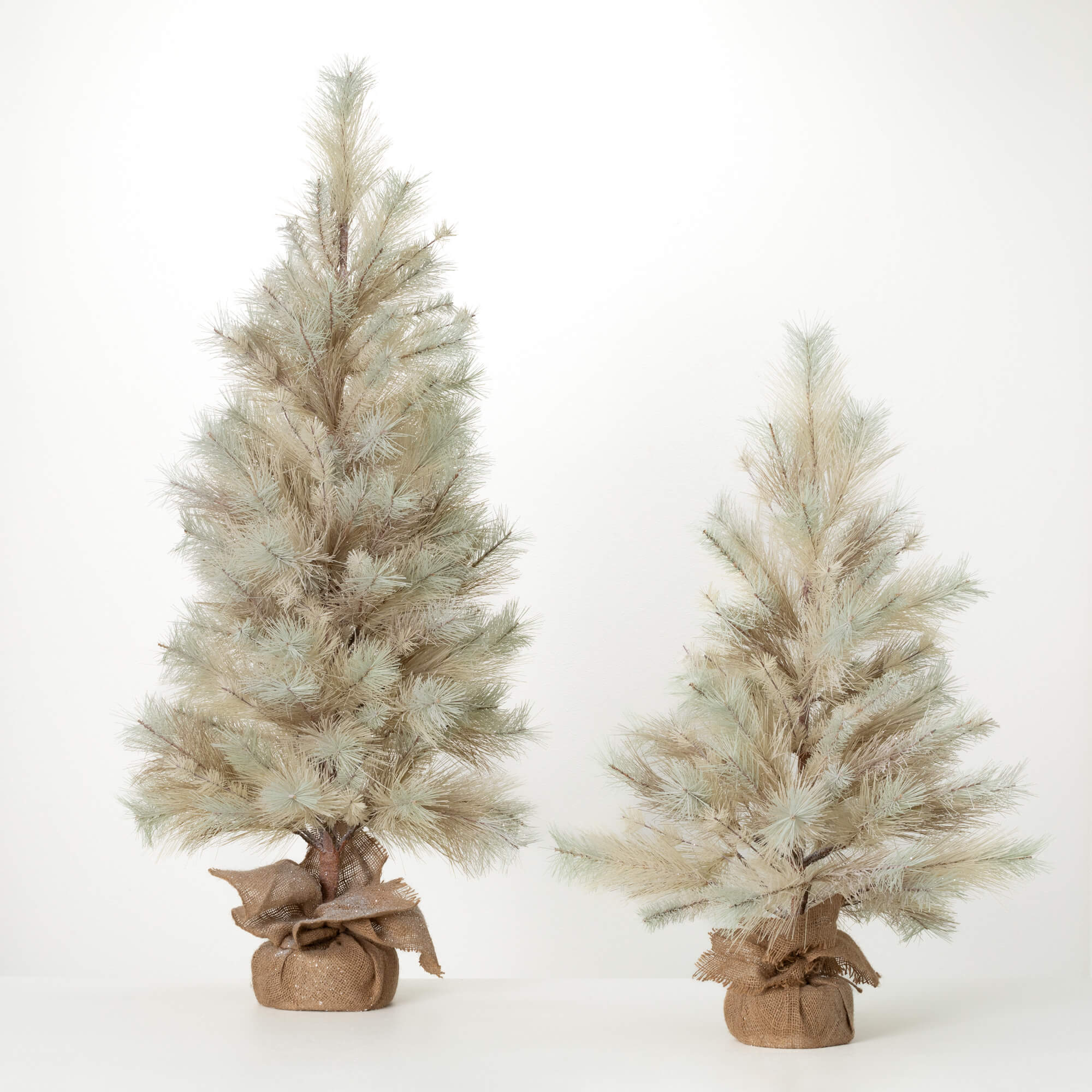 PINE TREE Set 2