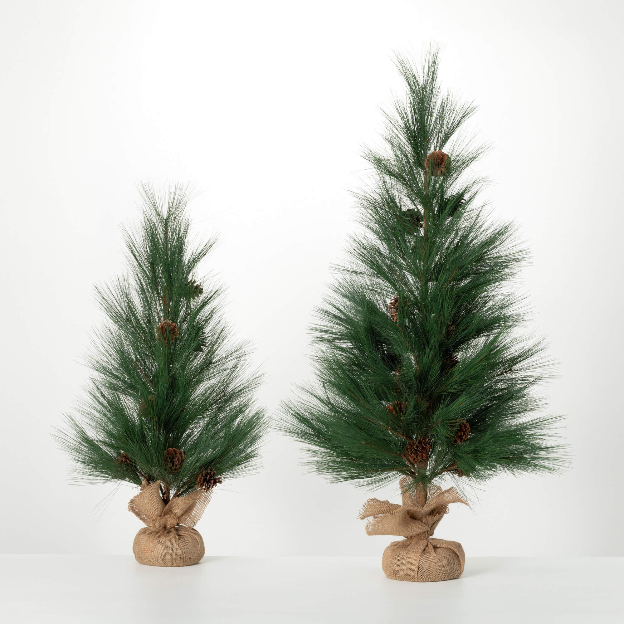 LONG PINE TREE Set 2