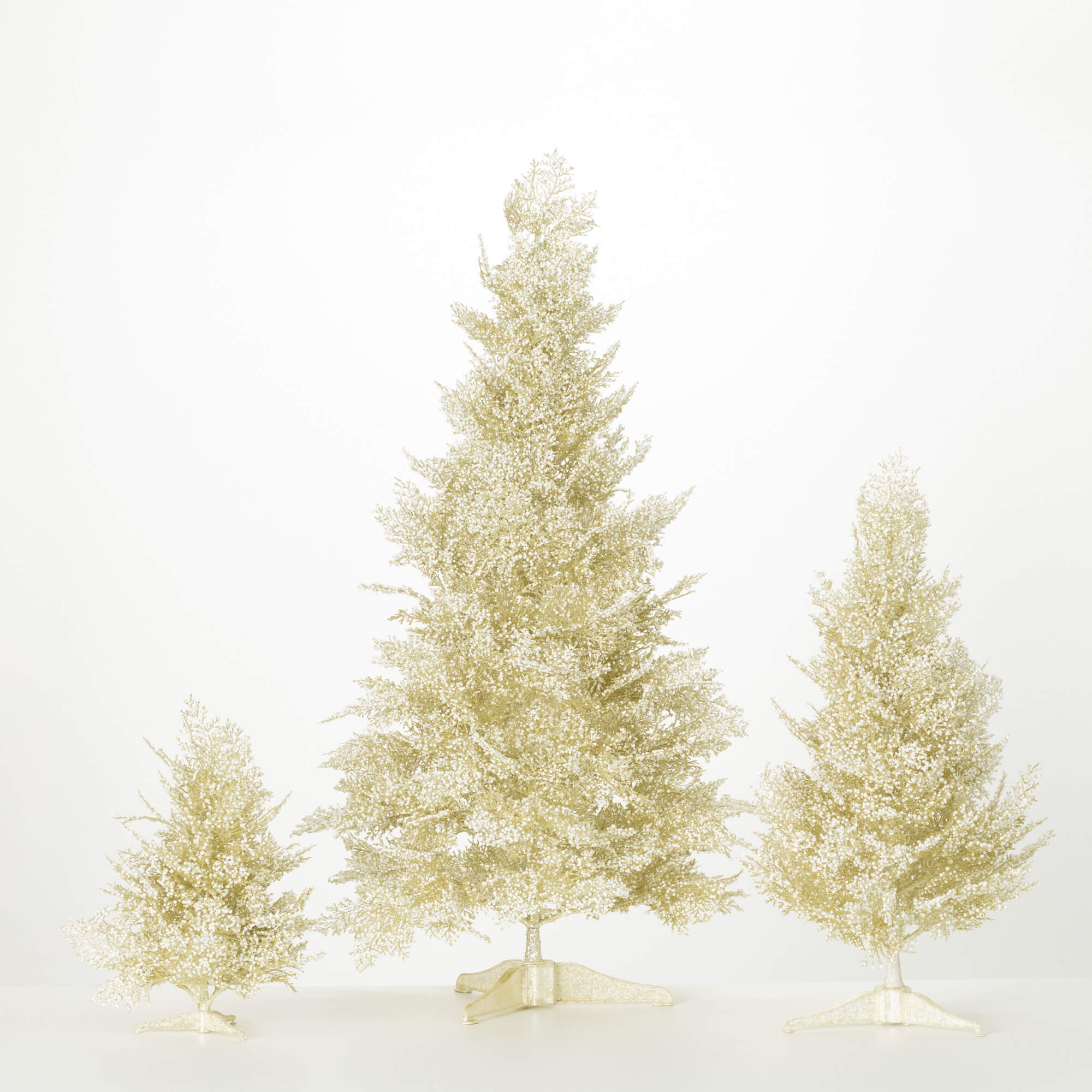 PINE TREE Set 3