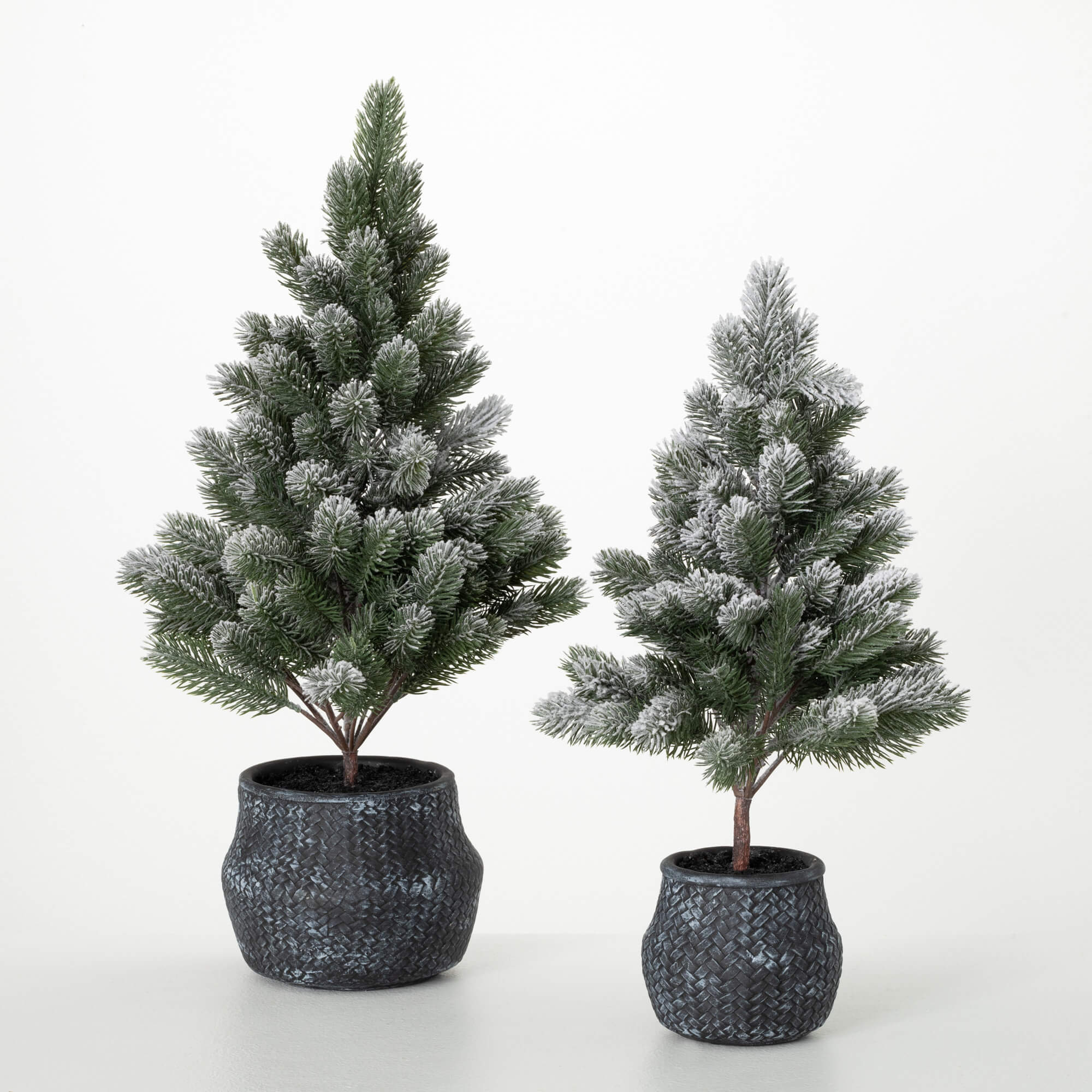 POTTED SNOWY PINE SET OF 2