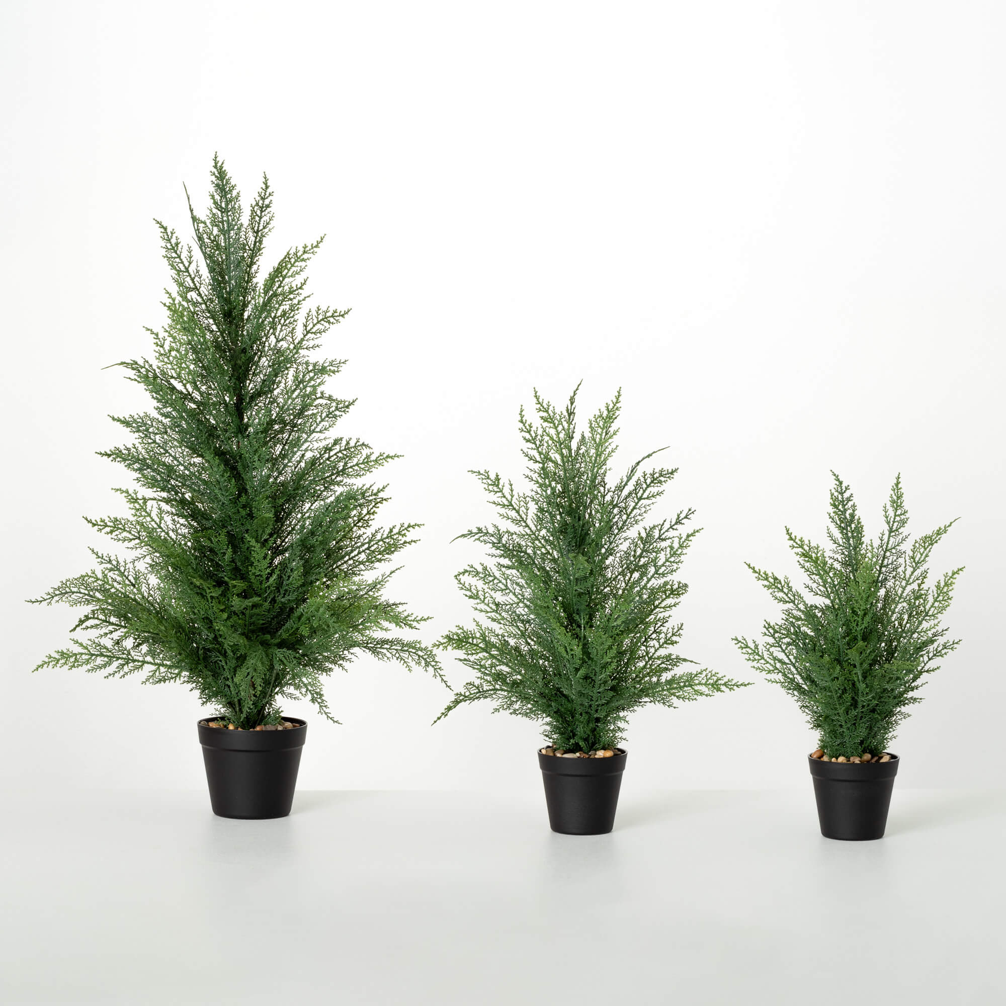 CEDAR TREE Set 3