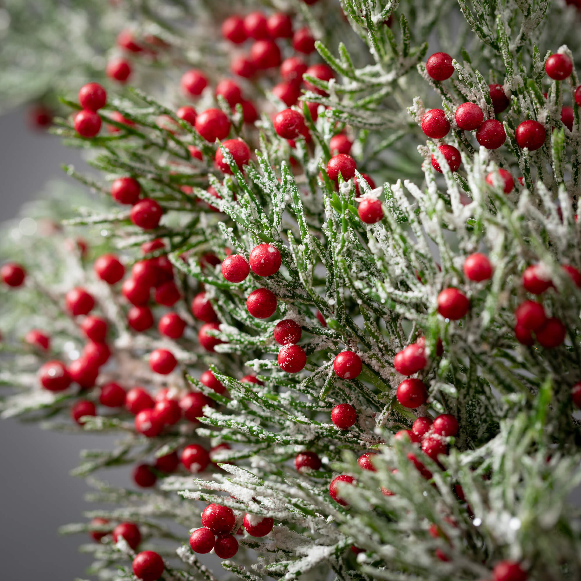 Wholesale Cedar/Berry Wreath, Pine Green-Red Wreaths | Sullivans